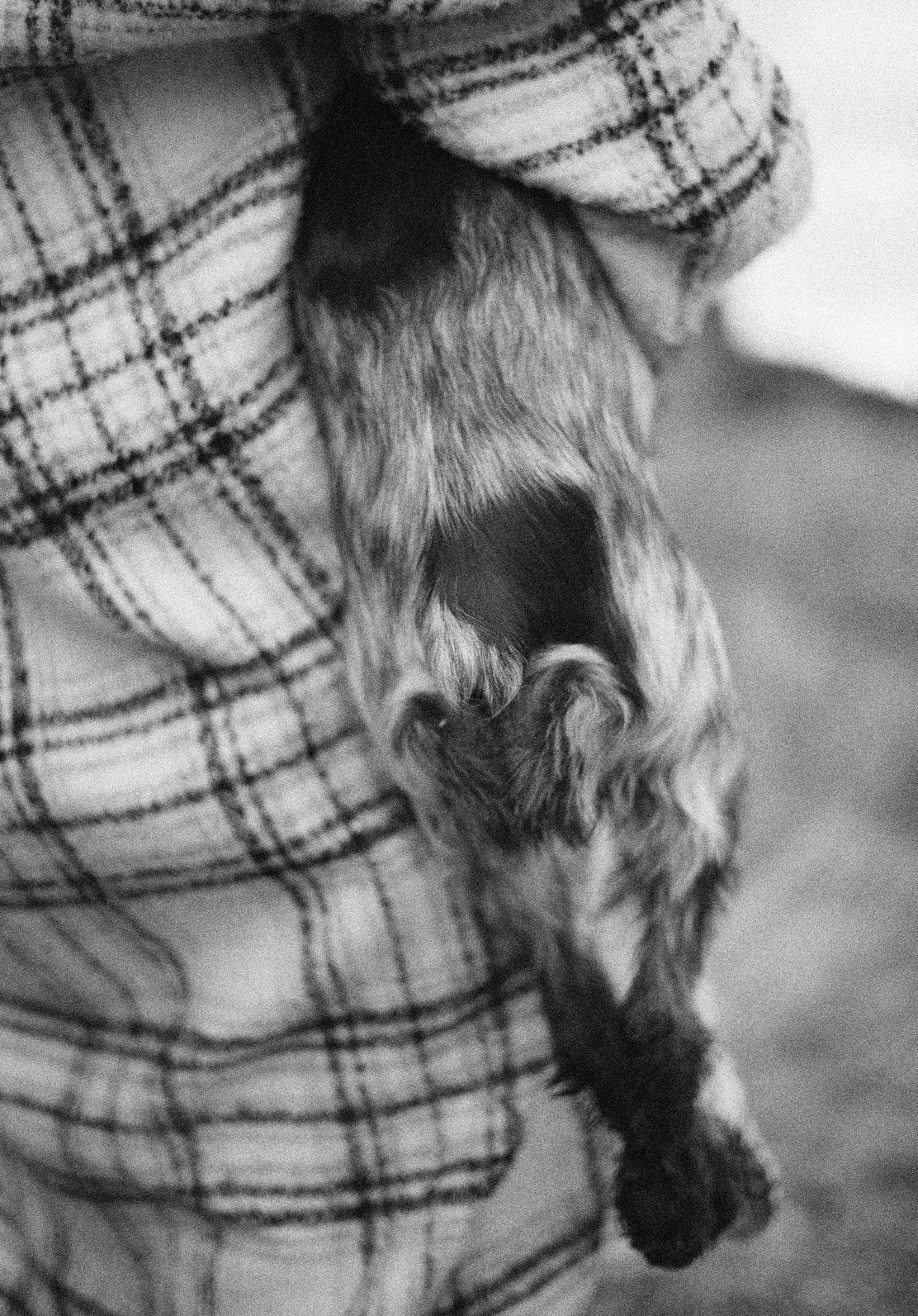 Вика и Ава. Фотограф-анималист Богданова Полина