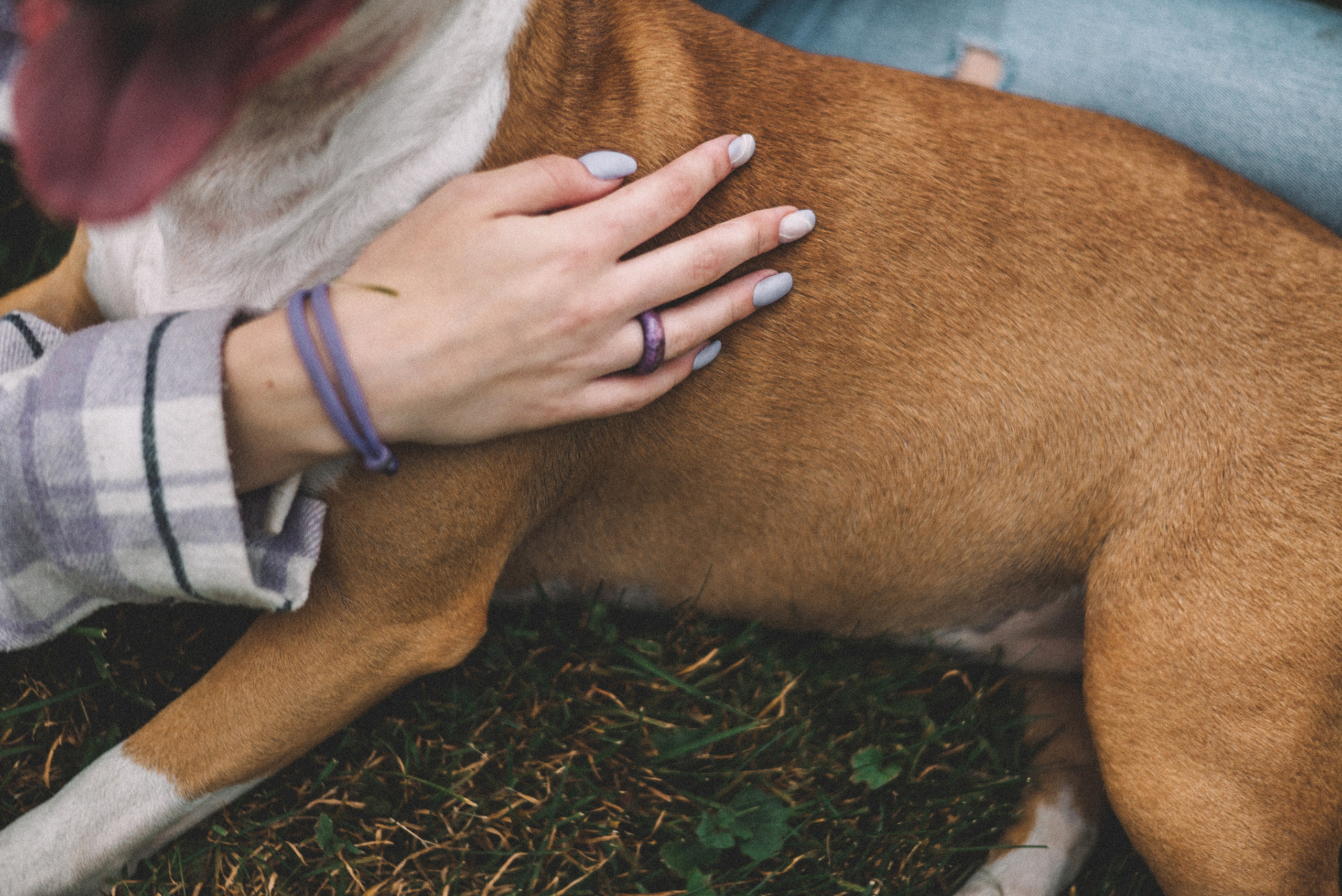 Маша и Рулька. Фотограф-анималист Богданова Полина