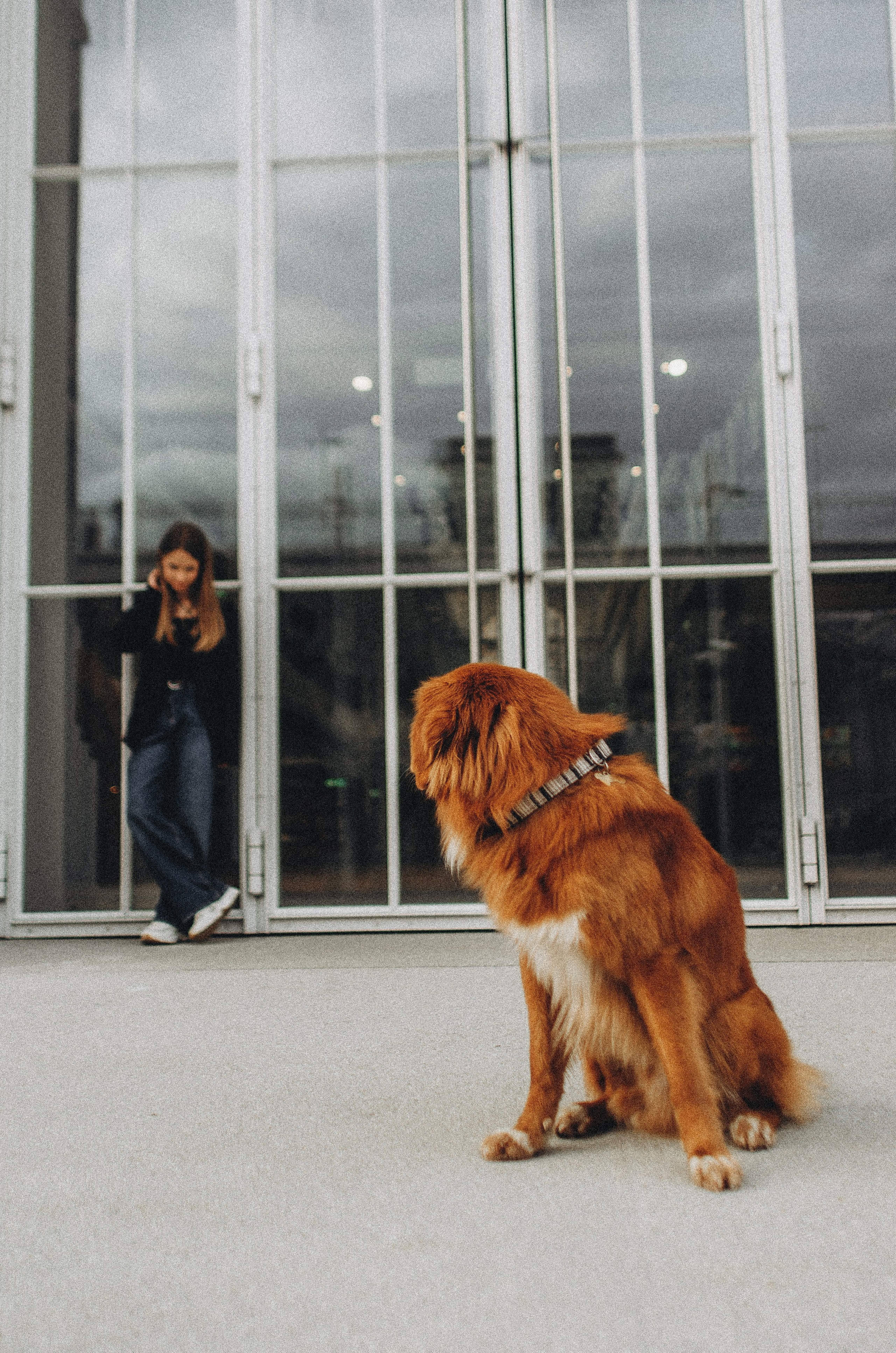Алина и Бис. Фотограф-анималист Богданова Полина