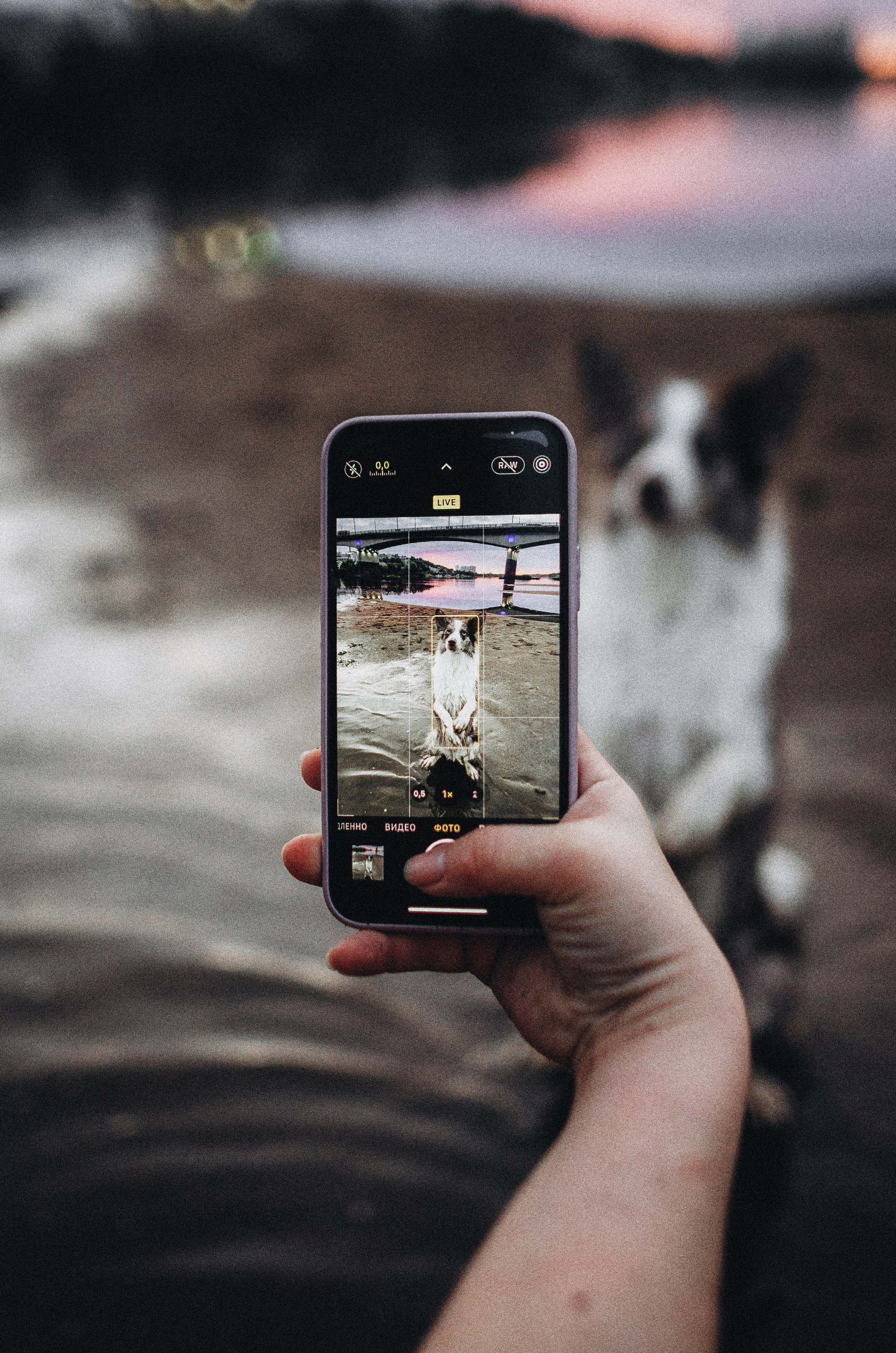 Алина и Бруна. Фотограф-анималист Богданова Полина