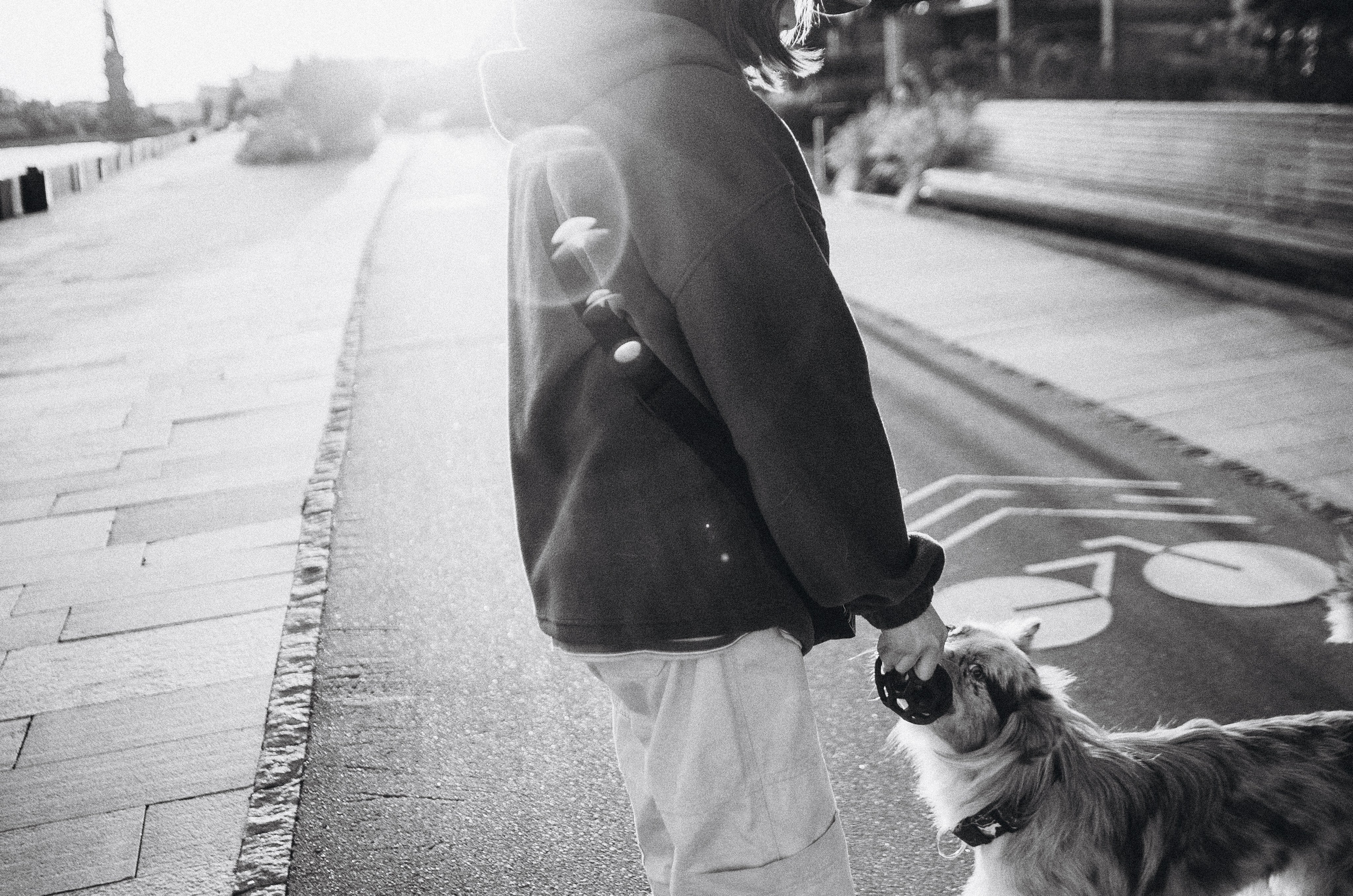 Аня и Дэймон. Фотограф-анималист Богданова Полина