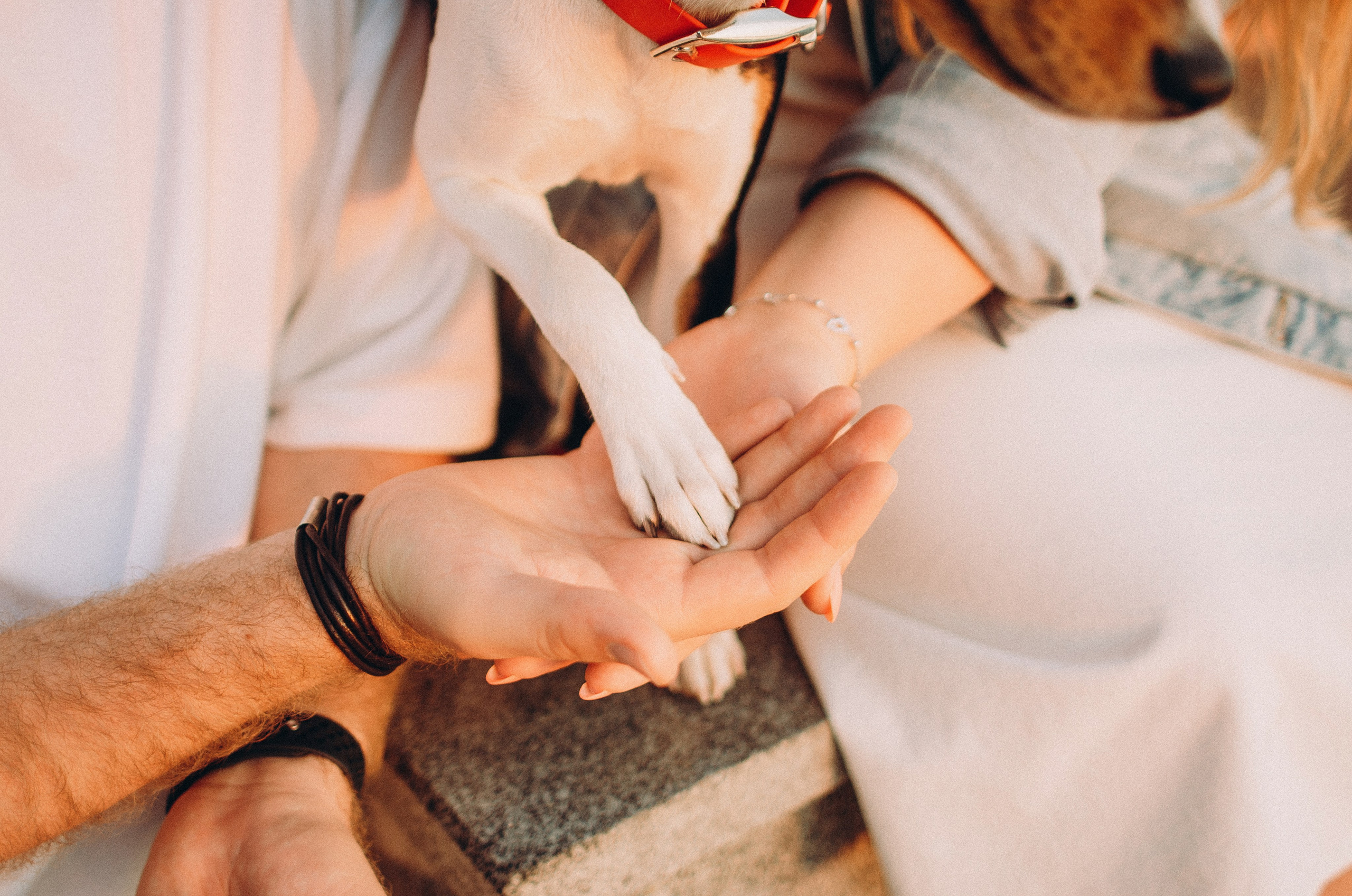 Лена, Никита и Эсма. Фотограф-анималист Богданова Полина