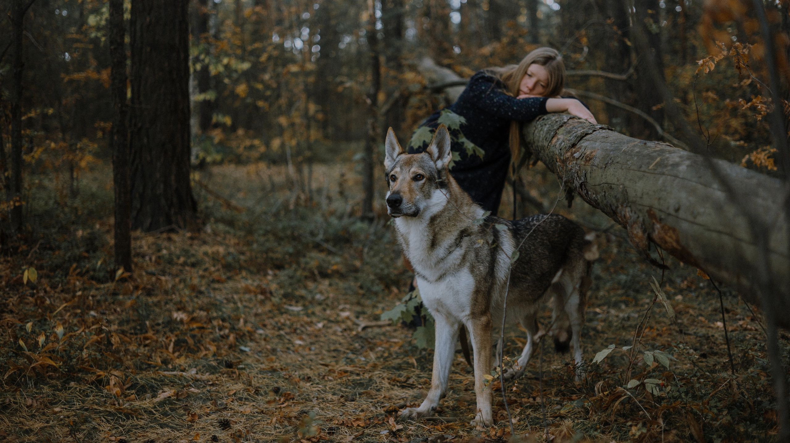 Полина и Вегард. Фотограф-анималист Богданова Полина