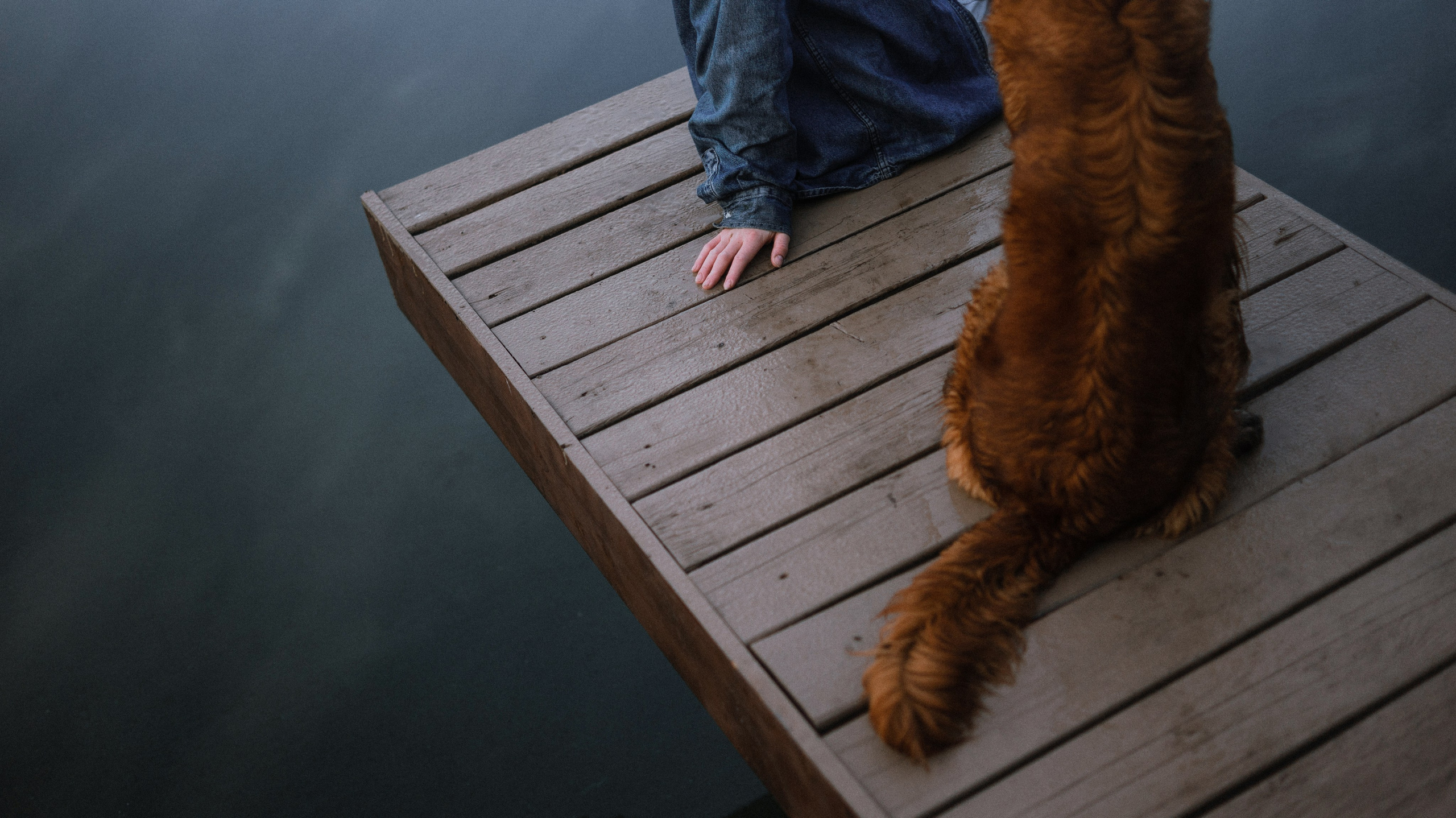 Ксюша и Мэди. Фотограф-анималист Богданова Полина