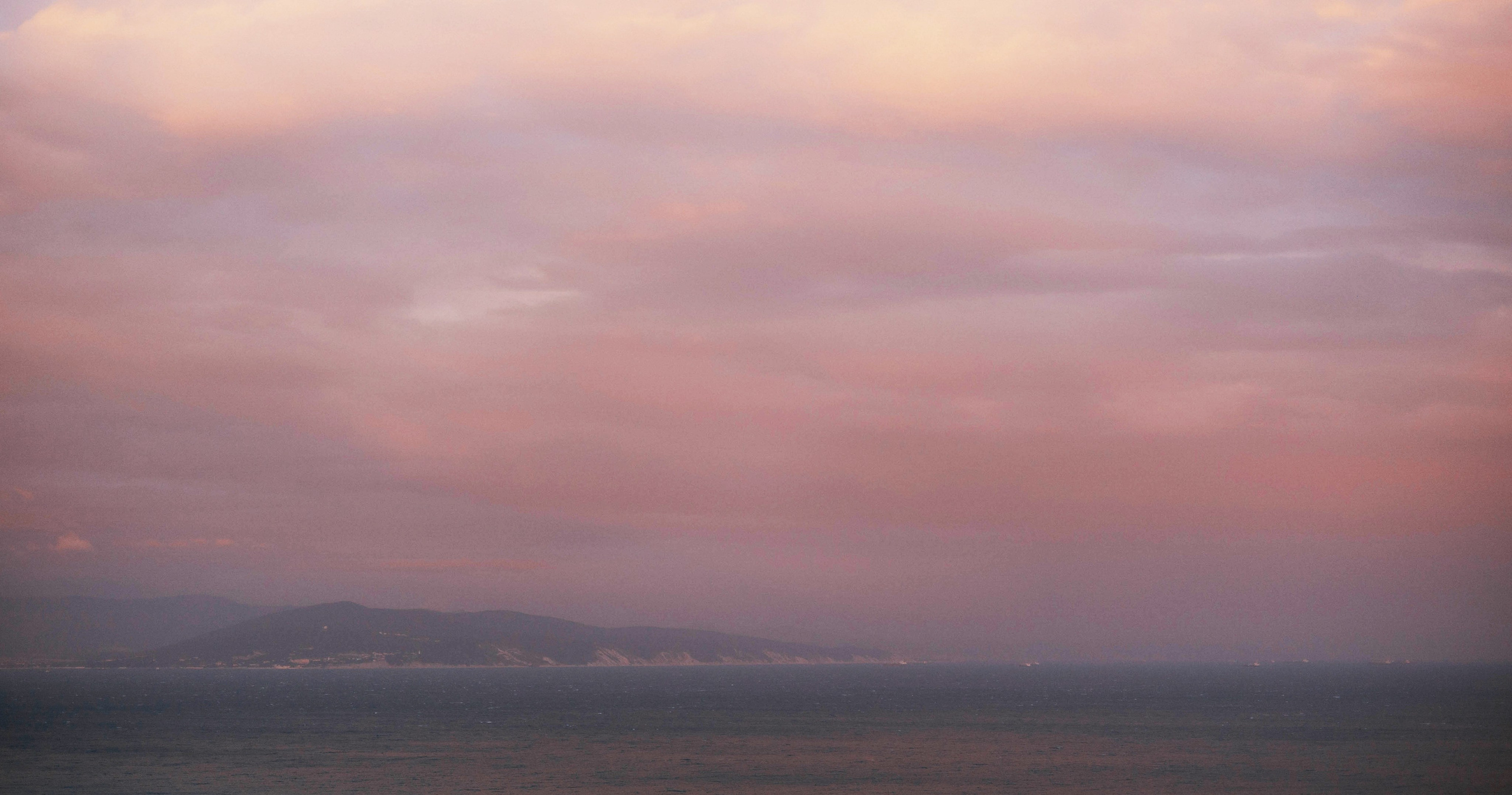 Ольга и Шеймас. Фотограф-анималист Богданова Полина
