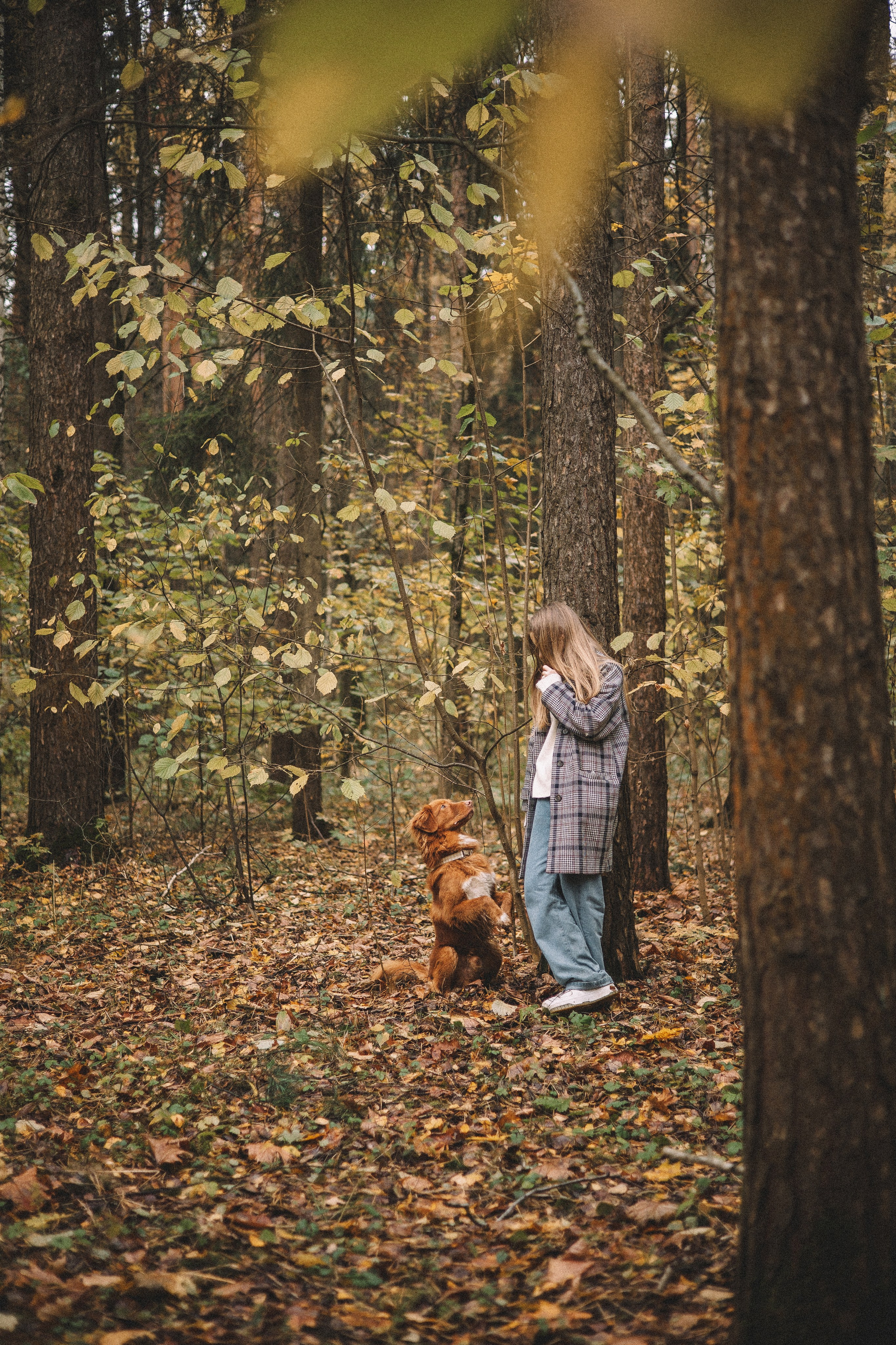 Алина и Бис. Фотограф-анималист Богданова Полина