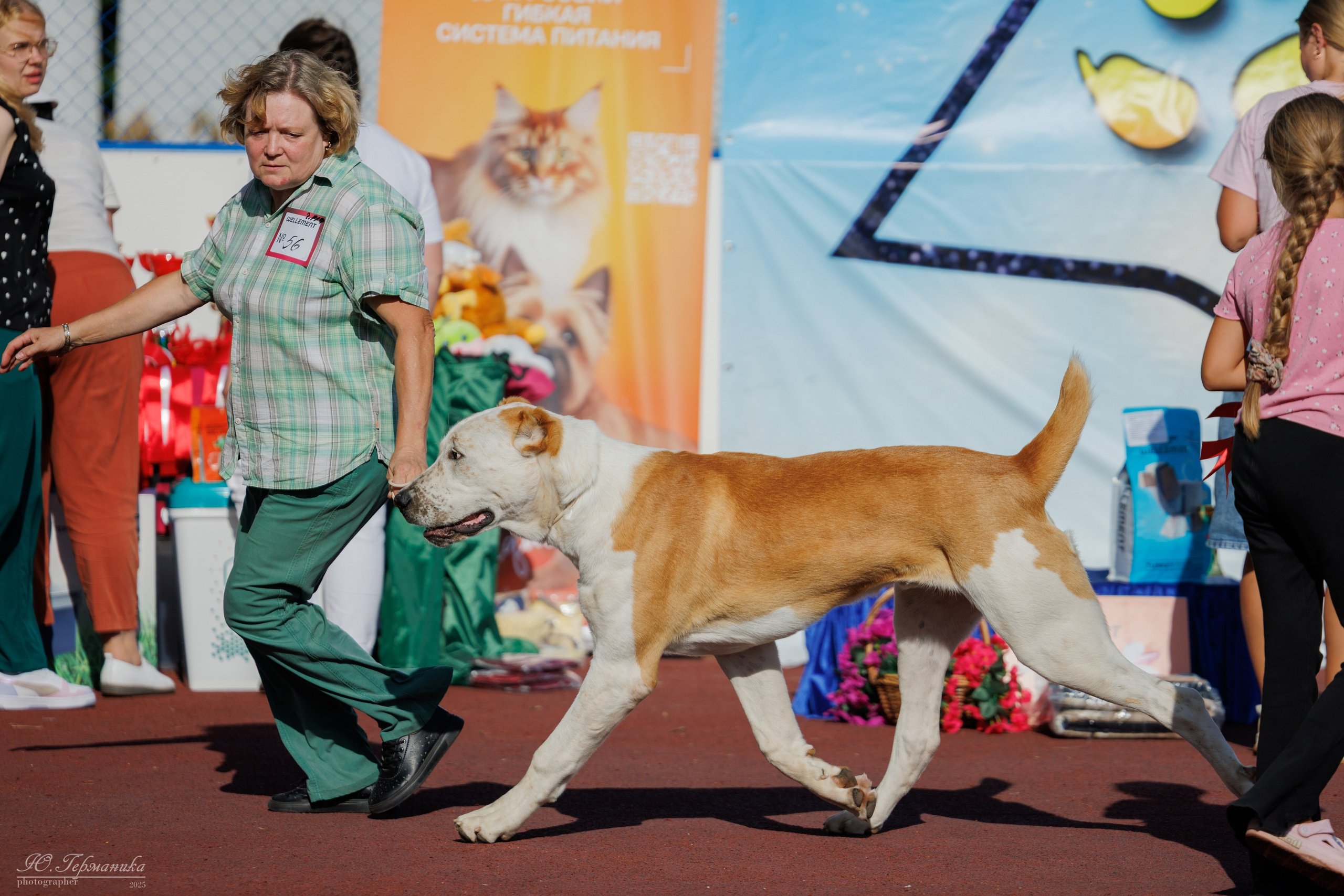 Коломна 30.08.2025. Фотограф-анималист Юлия Германика