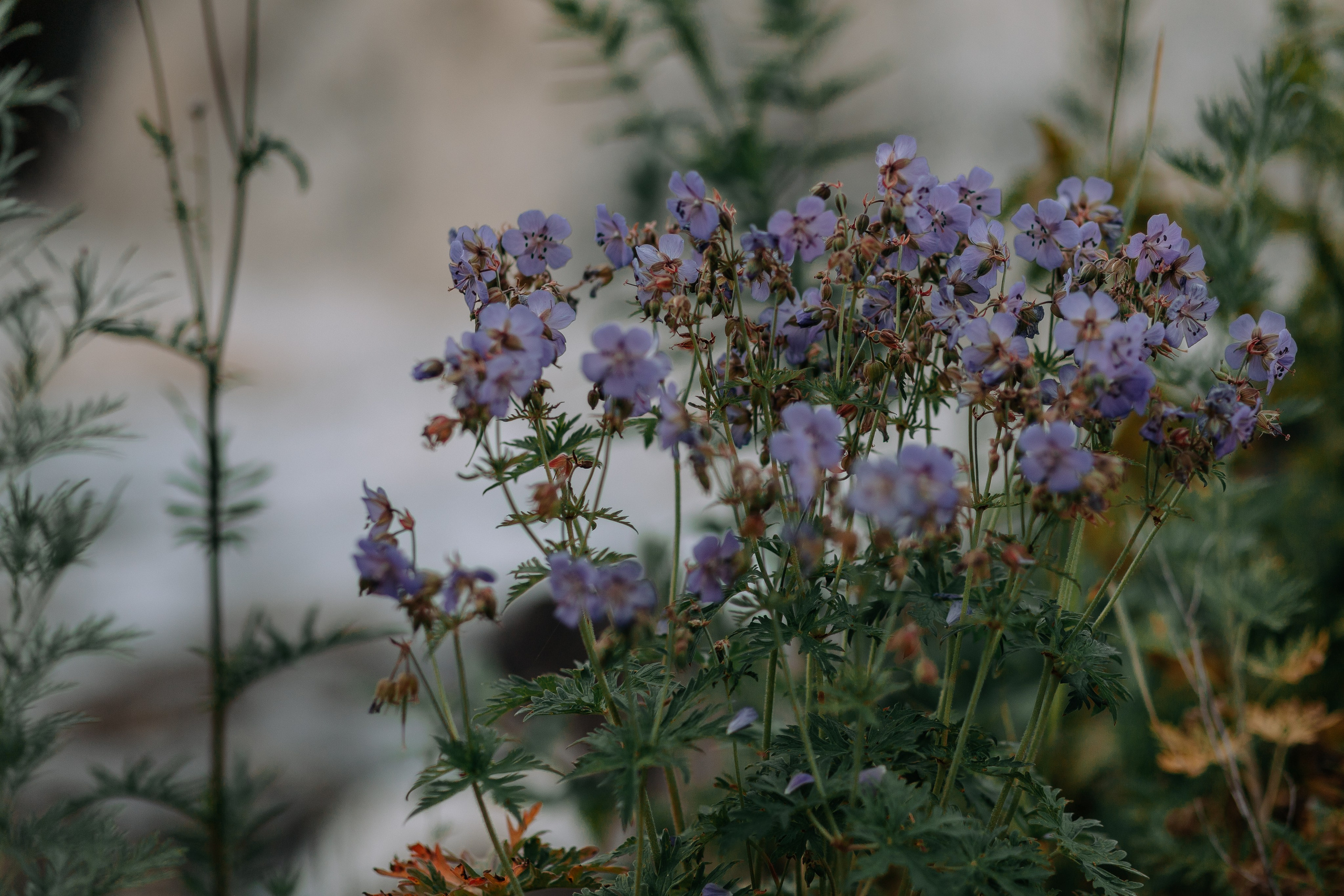 Закат у водопада. Детский и семейный фотограф в Красноярске Юлия Бирюкова
