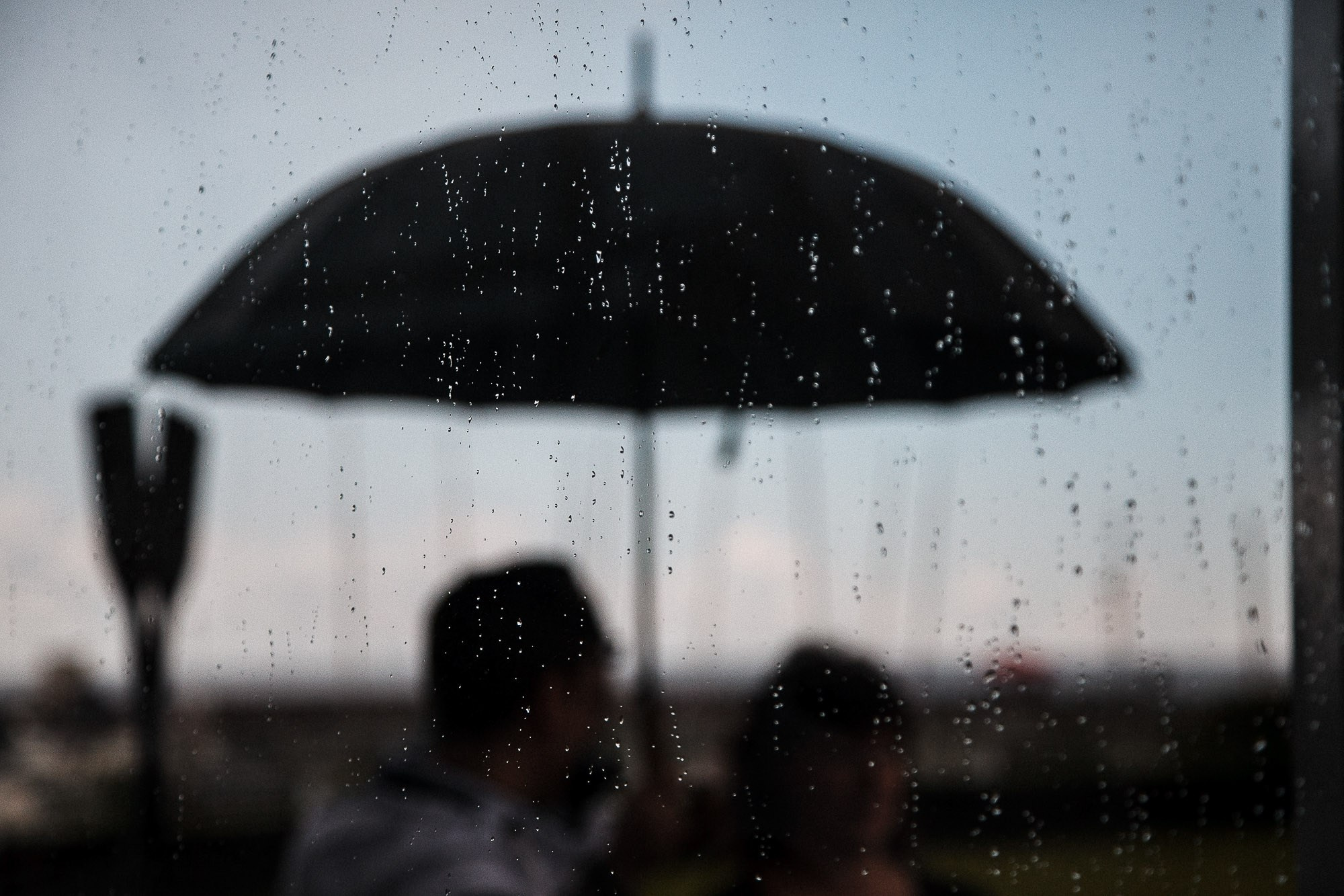 Летний корпоратив «МДС». Рабочая сторона — бизнес портрет и репортаж в Санкт-Петербурге