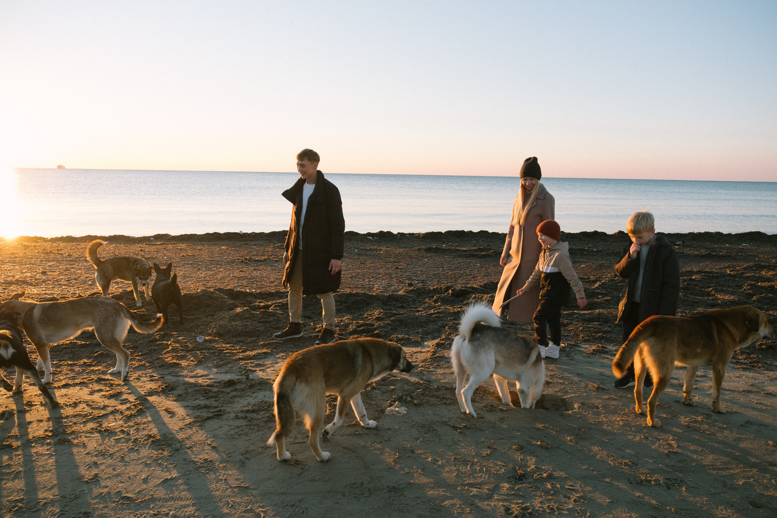 Через барханы в осень. Свадебный и семейный фотограф в Краснодаре