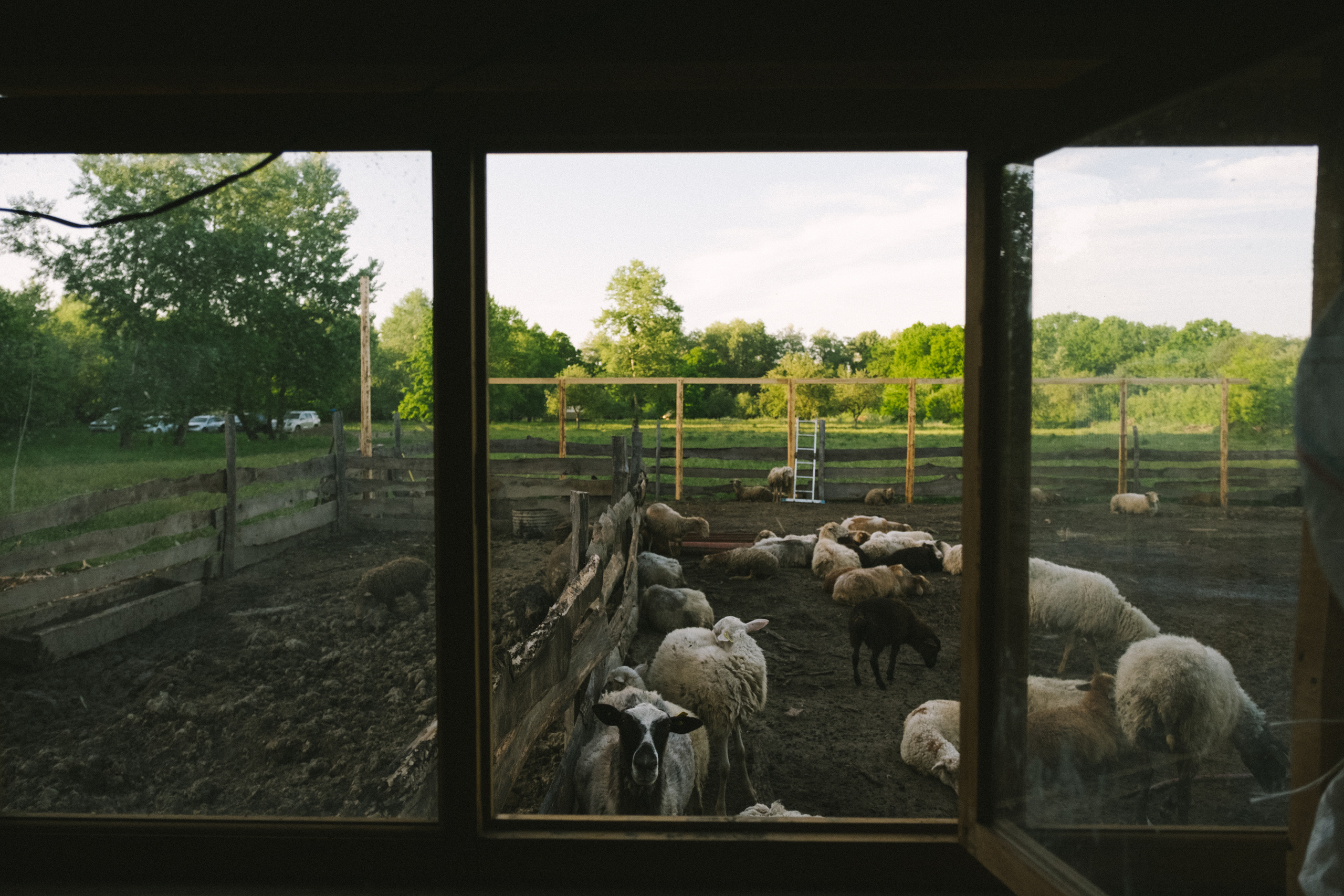 Когда тебе исполнилось 5 лет. Свадебный и семейный фотограф в Краснодаре