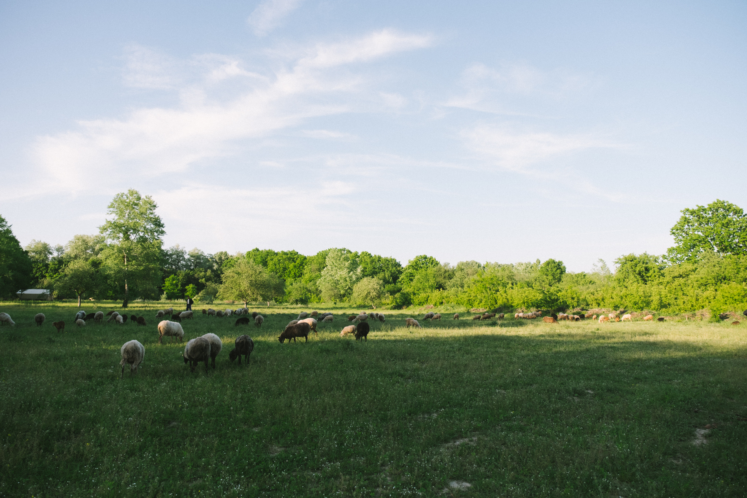Когда тебе исполнилось 5 лет. Свадебный и семейный фотограф в Краснодаре