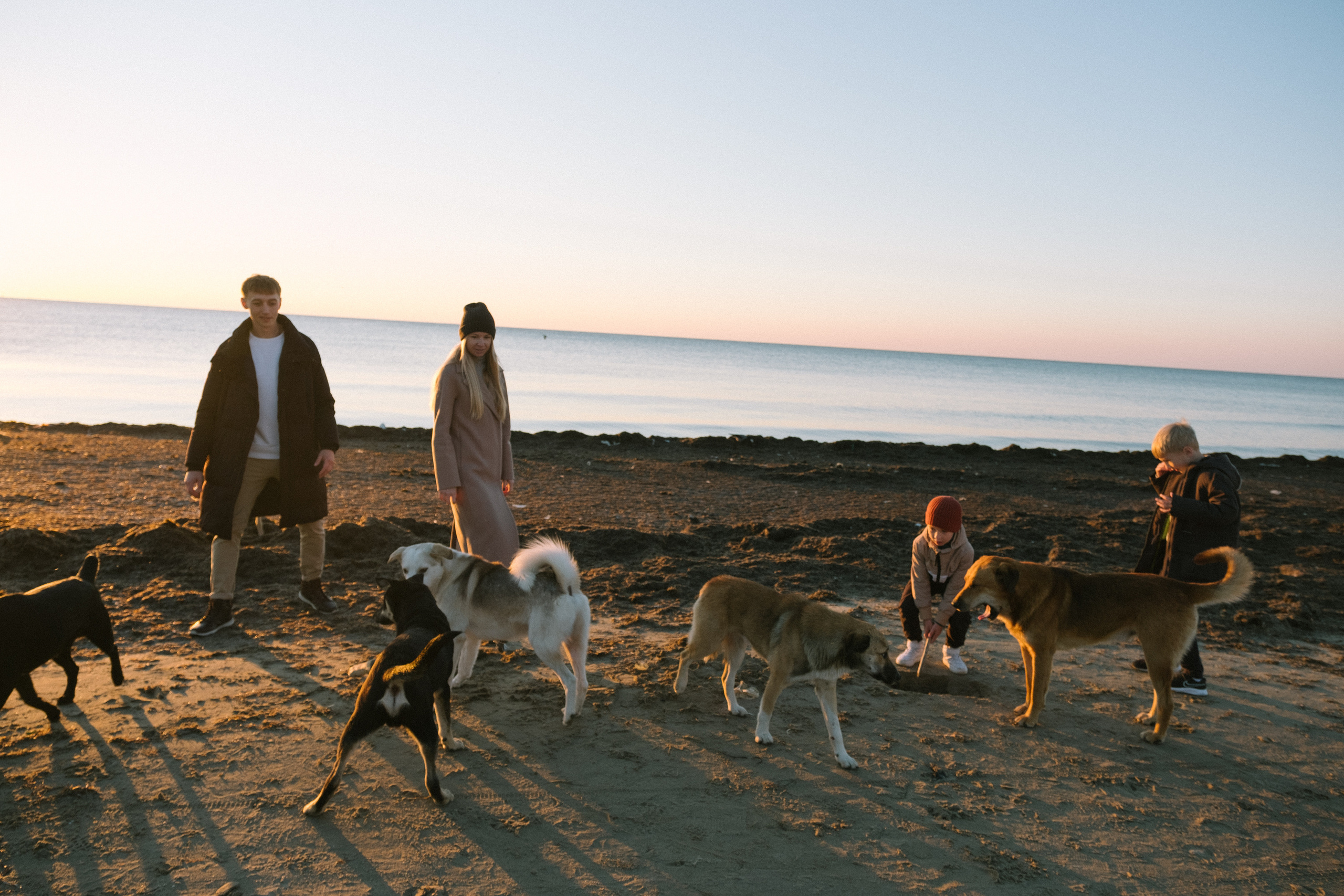 Через барханы в осень. Свадебный и семейный фотограф в Краснодаре