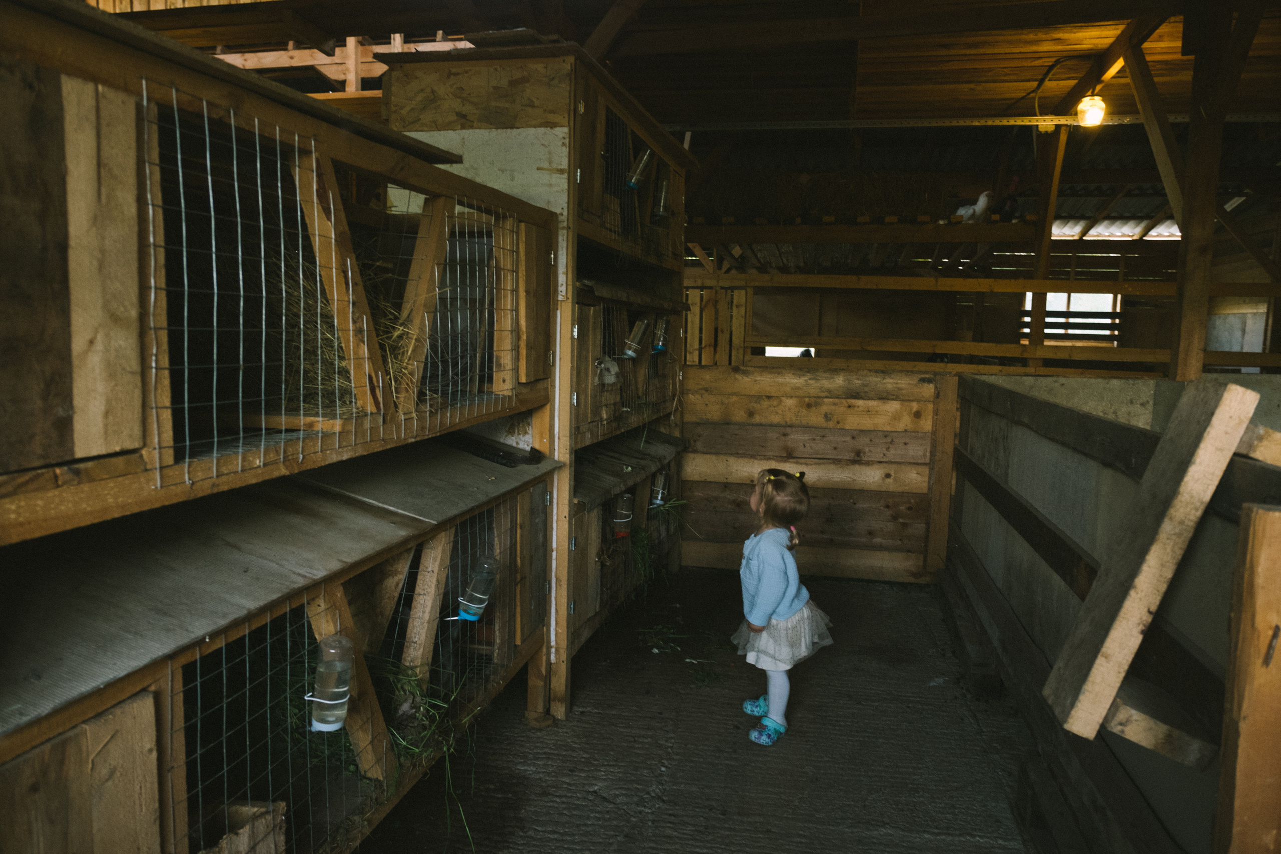 Когда тебе исполнилось 5 лет. Свадебный и семейный фотограф в Краснодаре