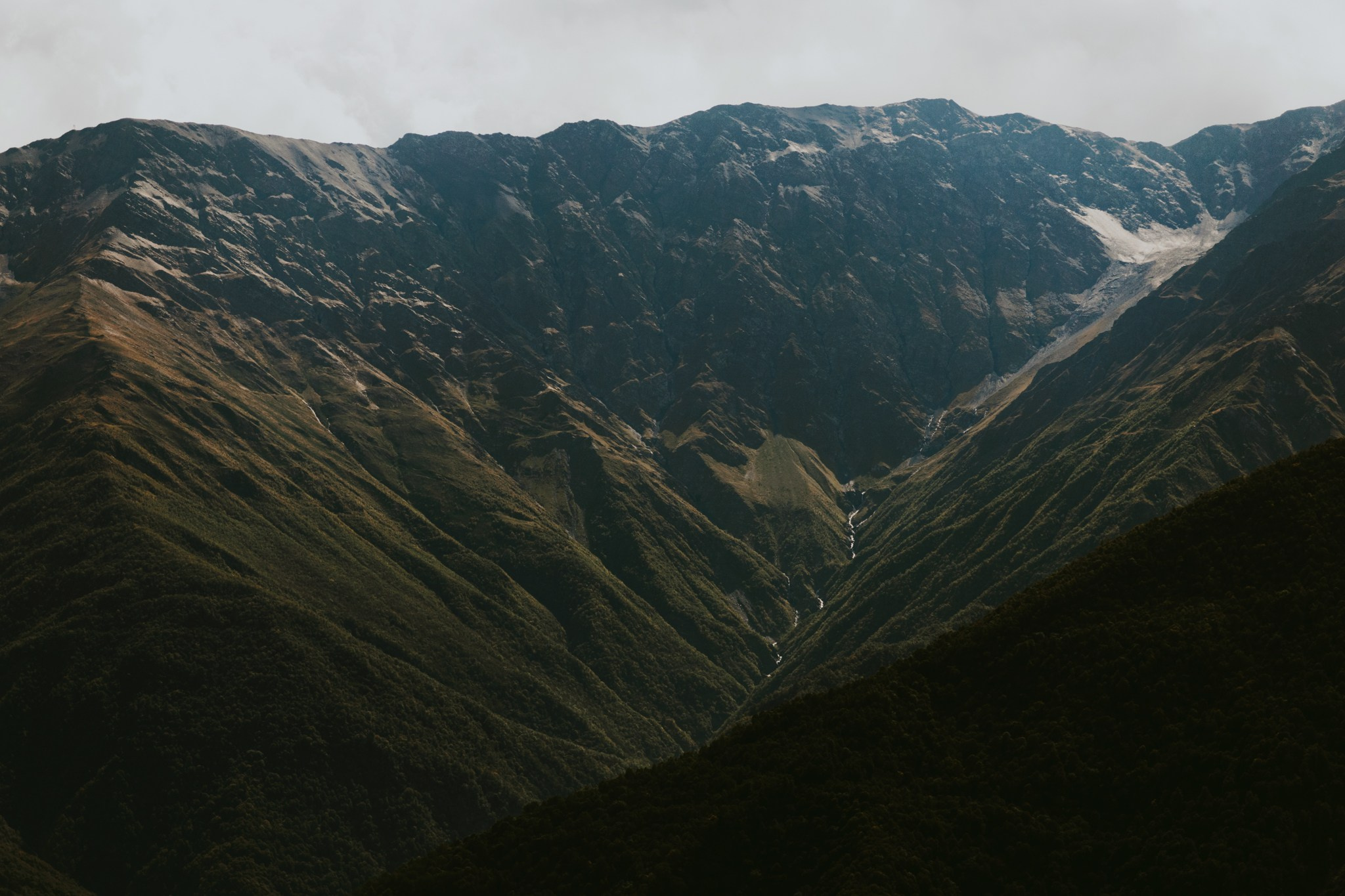 Природа. Спортивный фотограф Тремпольцева Анна