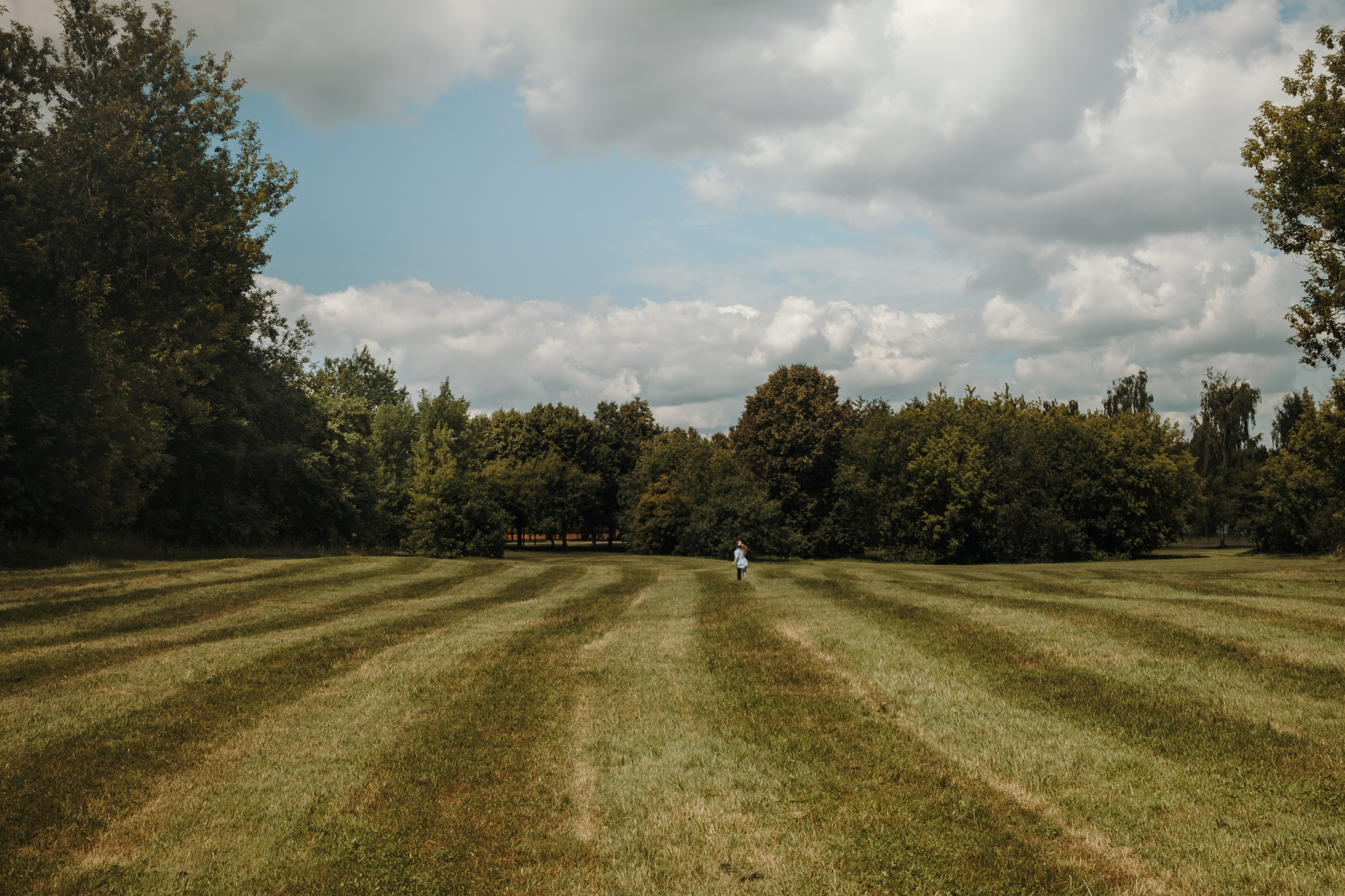 Семейная фотосессия с собаками в парке. Фотограф-анималист в Москве Екатерина Тихонова