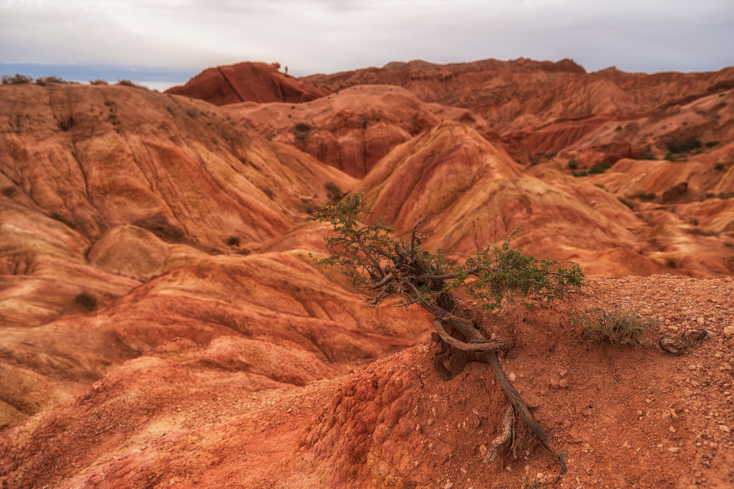 Киргизия. Портретный фотограф в Челябинске Катерина Руди