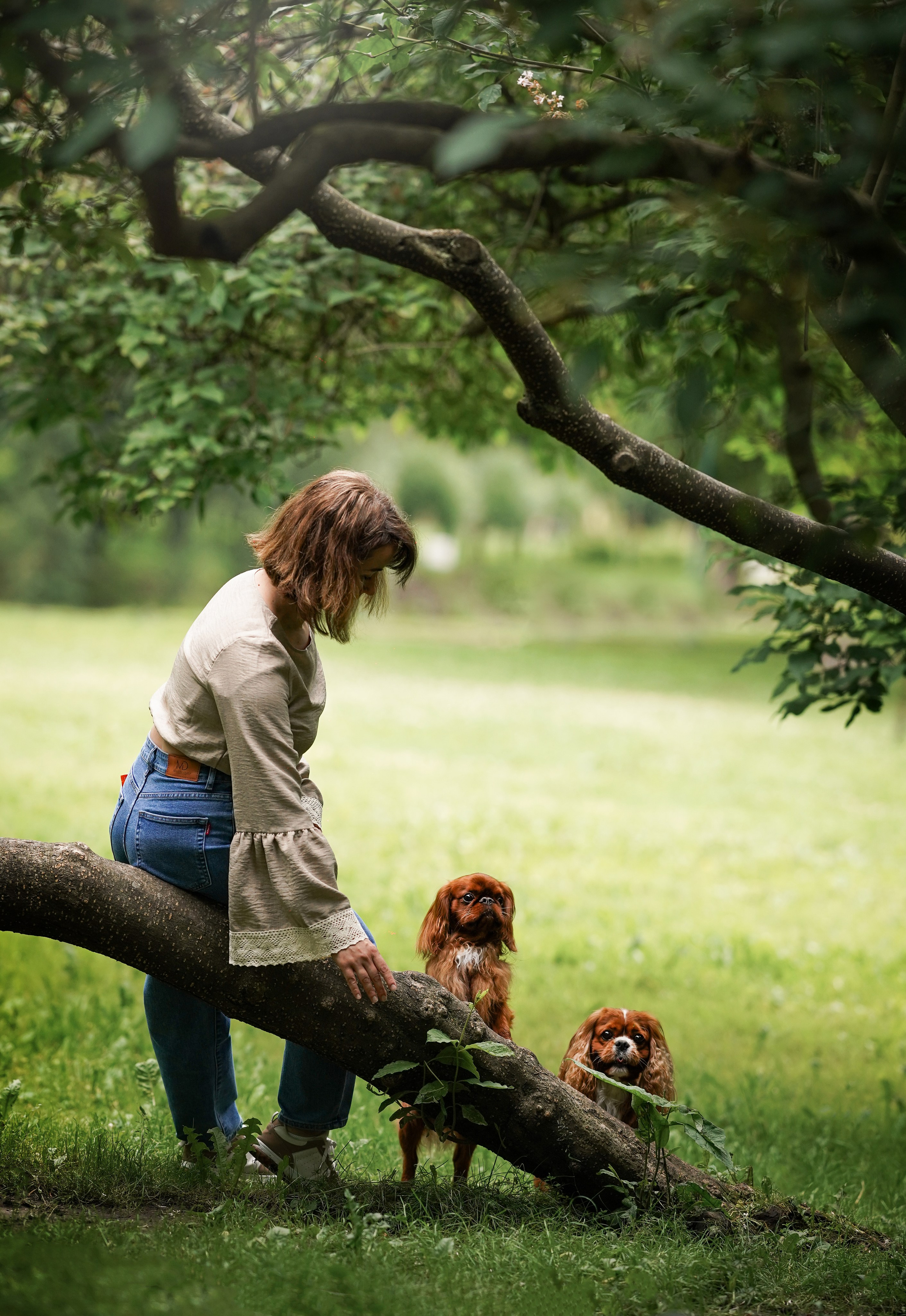 Юля Володя Гарри и Верон. Фотограф-анималист в Санкт-Петербурге Яна Мартынова