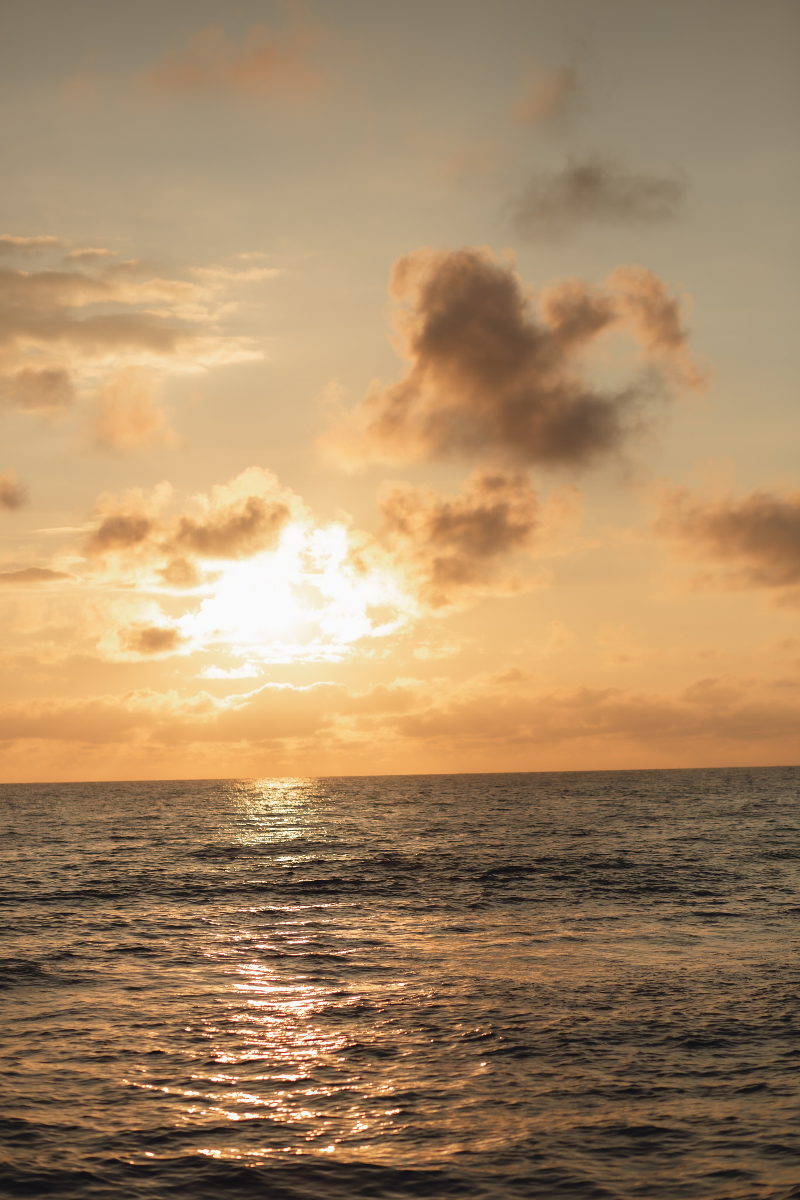 Елена и Никита. Фотограф в Калининграде Решетникова Алина