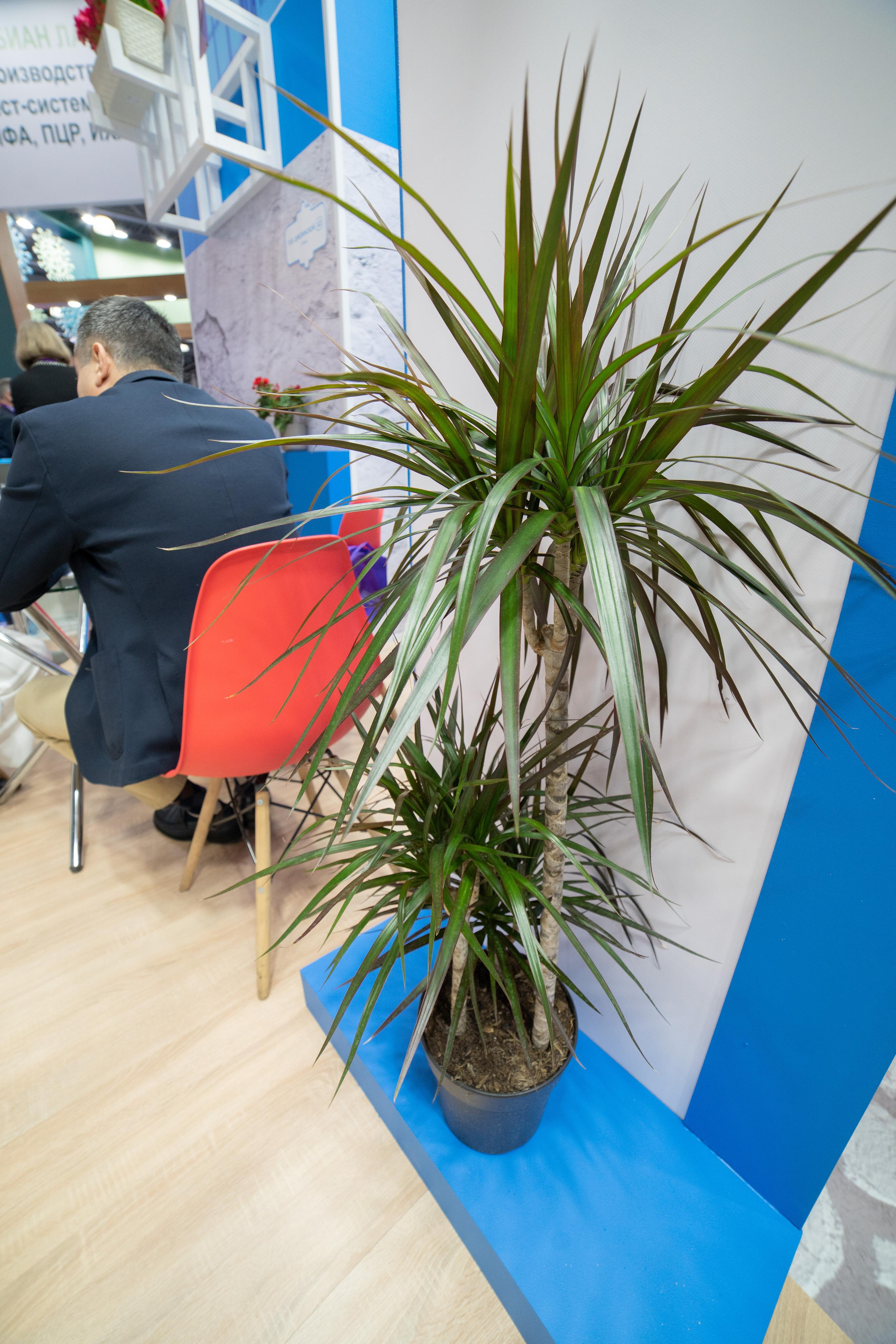 Выставка мед. Профессиональный портретный фотограф в Москве Владимир Глаголев