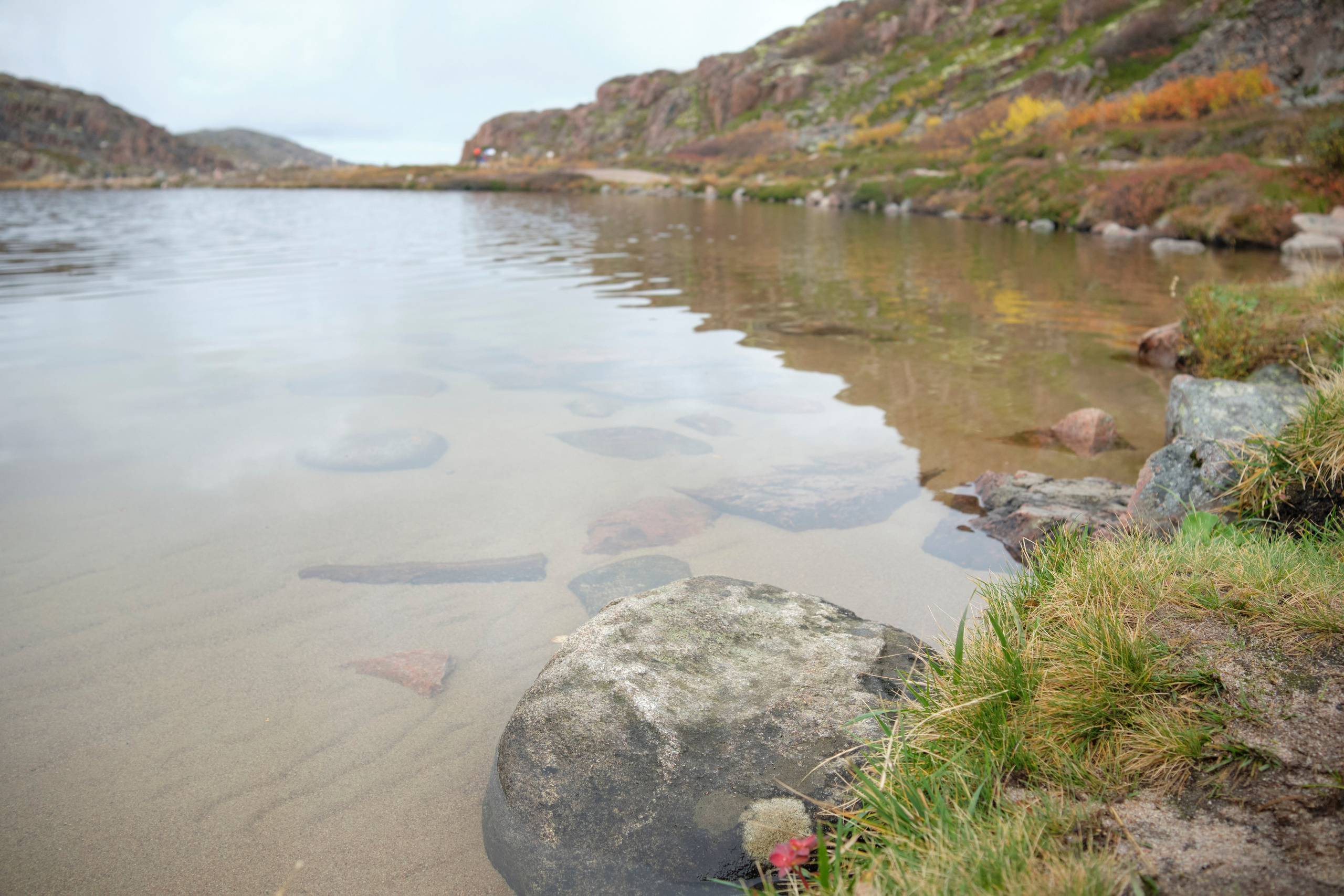 Путешествие в Териберку. Елена Павленко. Фотограф. Москва