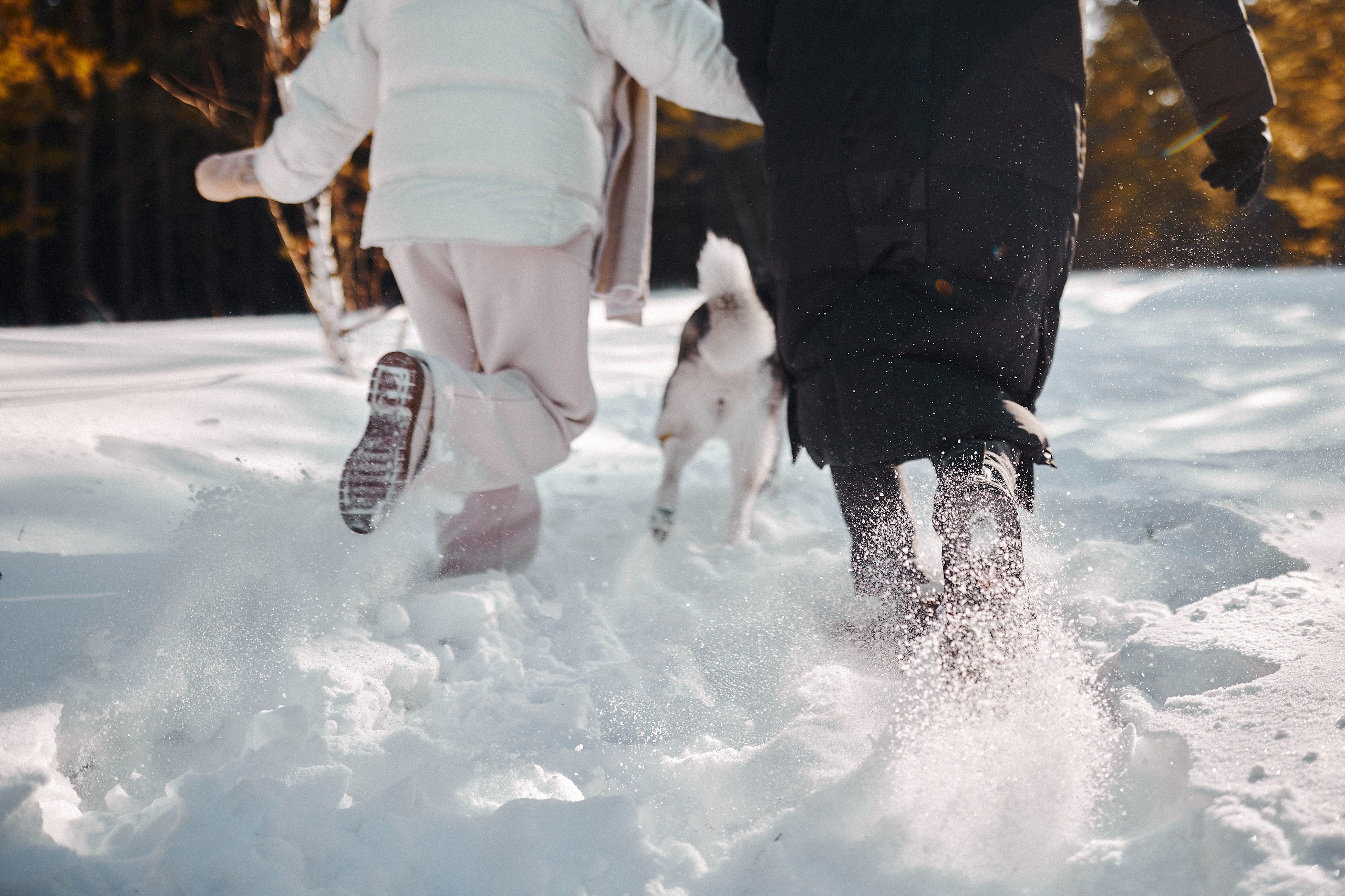 Winter love story in the forest. Иван Март Свадебный и портретный фотограф Тюмень