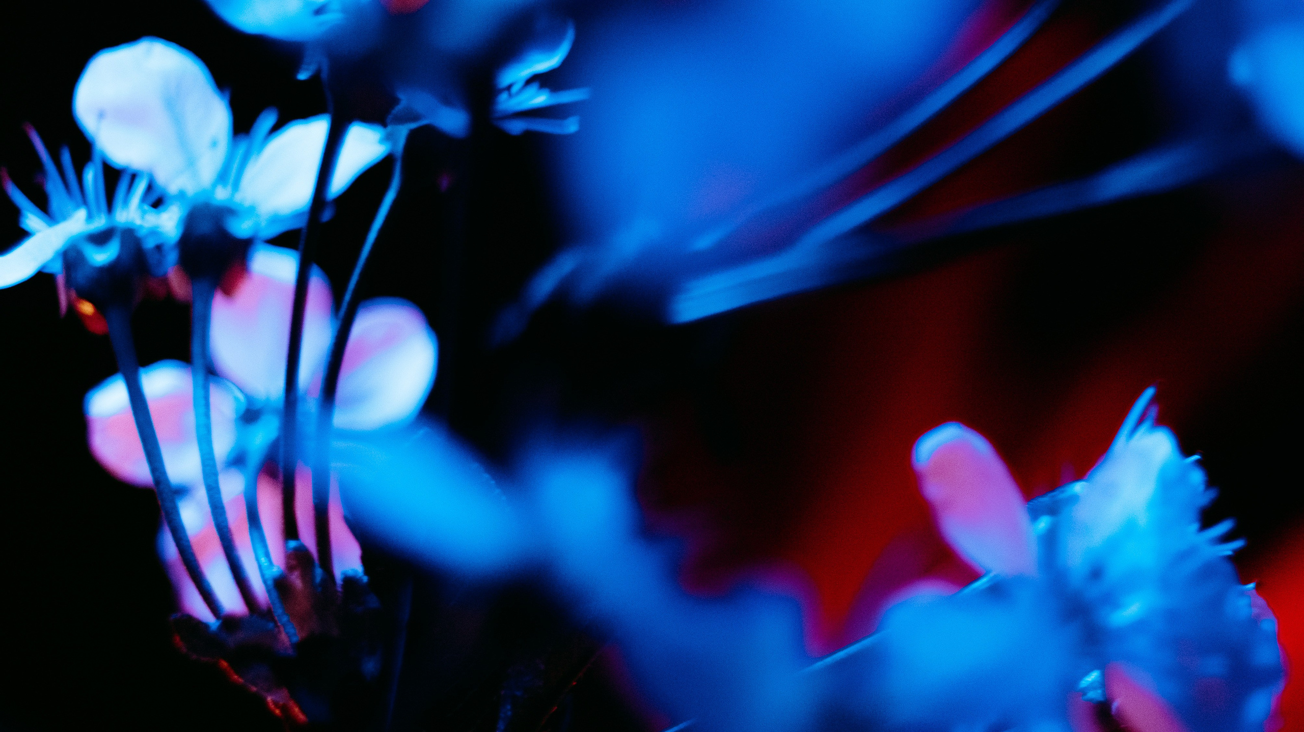 CONTACTS. Photographer Zoya Smirnova