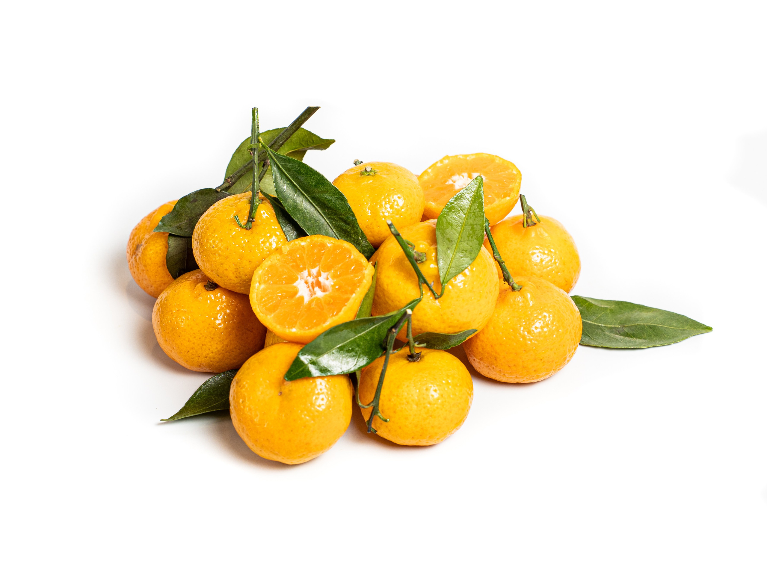 Яндекс Маркет. Предметный и фуд-фотограф в Москве Анна Царенко