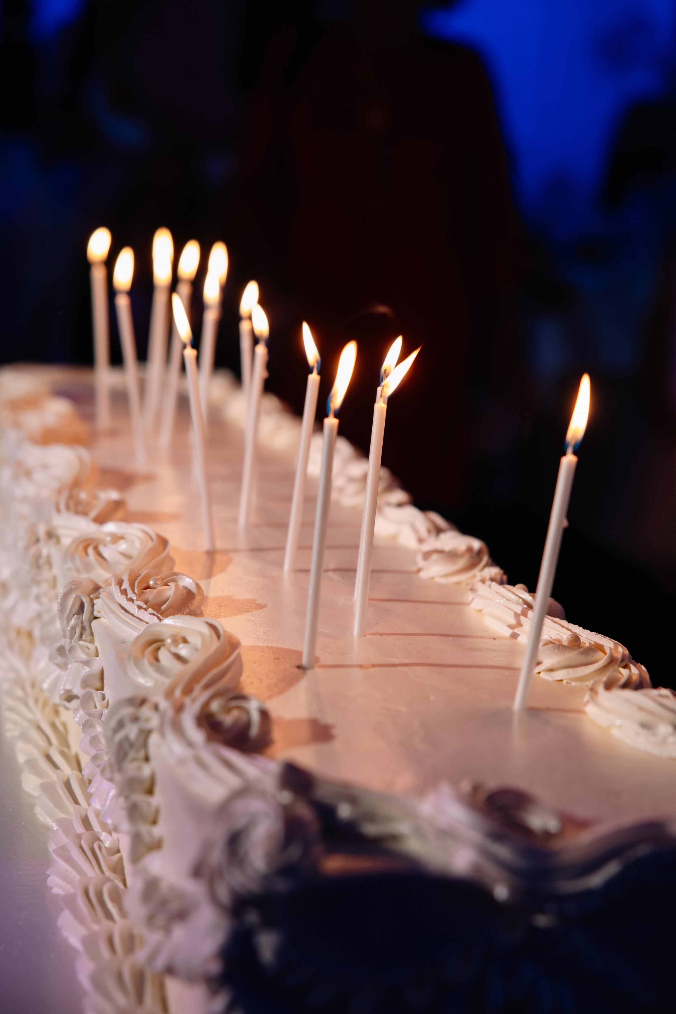 Свадьба Босха и Улана. Свадебный и семейный фотограф в Элисте Лиджик Сарлов