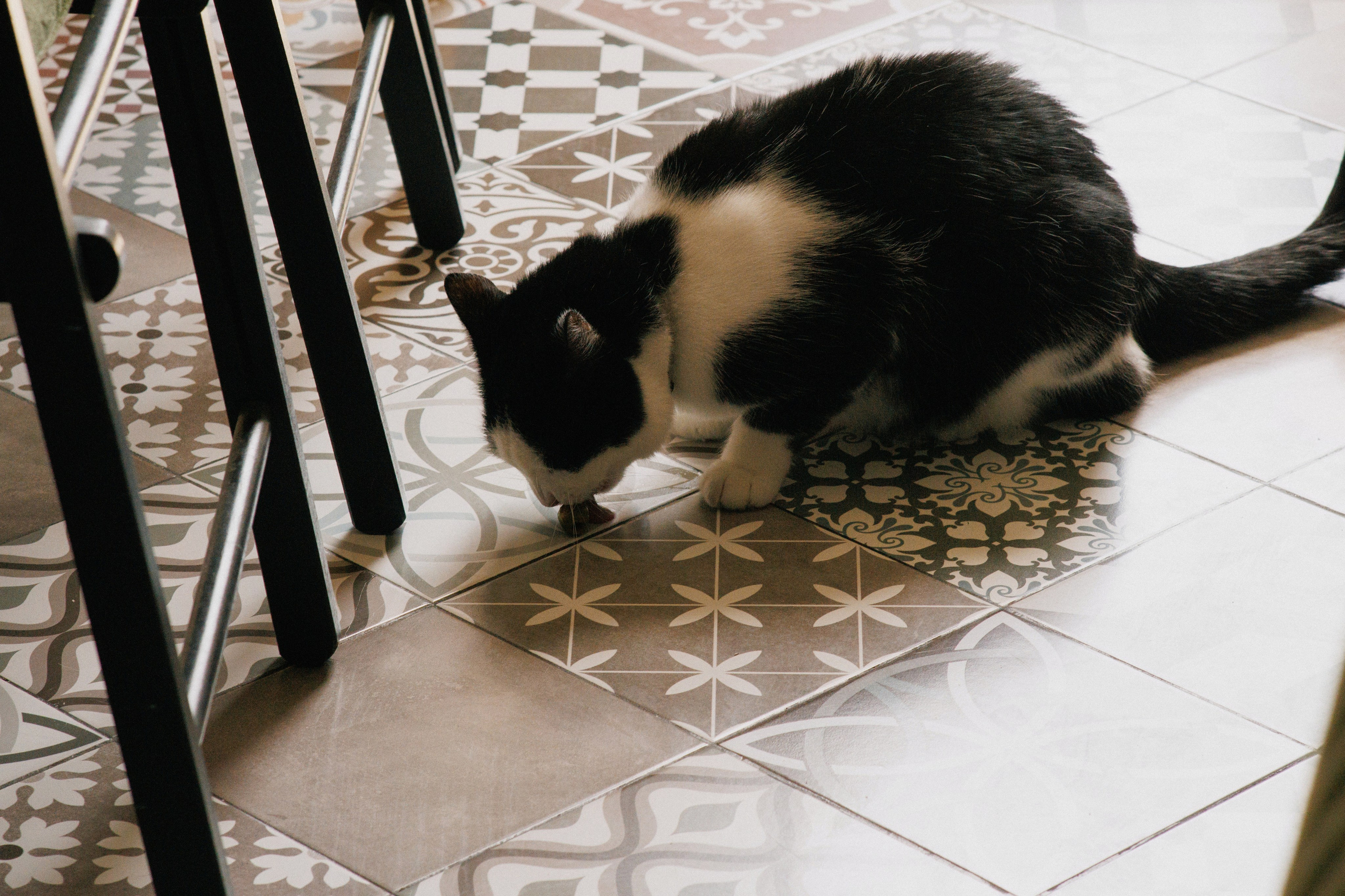 V ❤ V. Syrovatkina_Photographer.ru