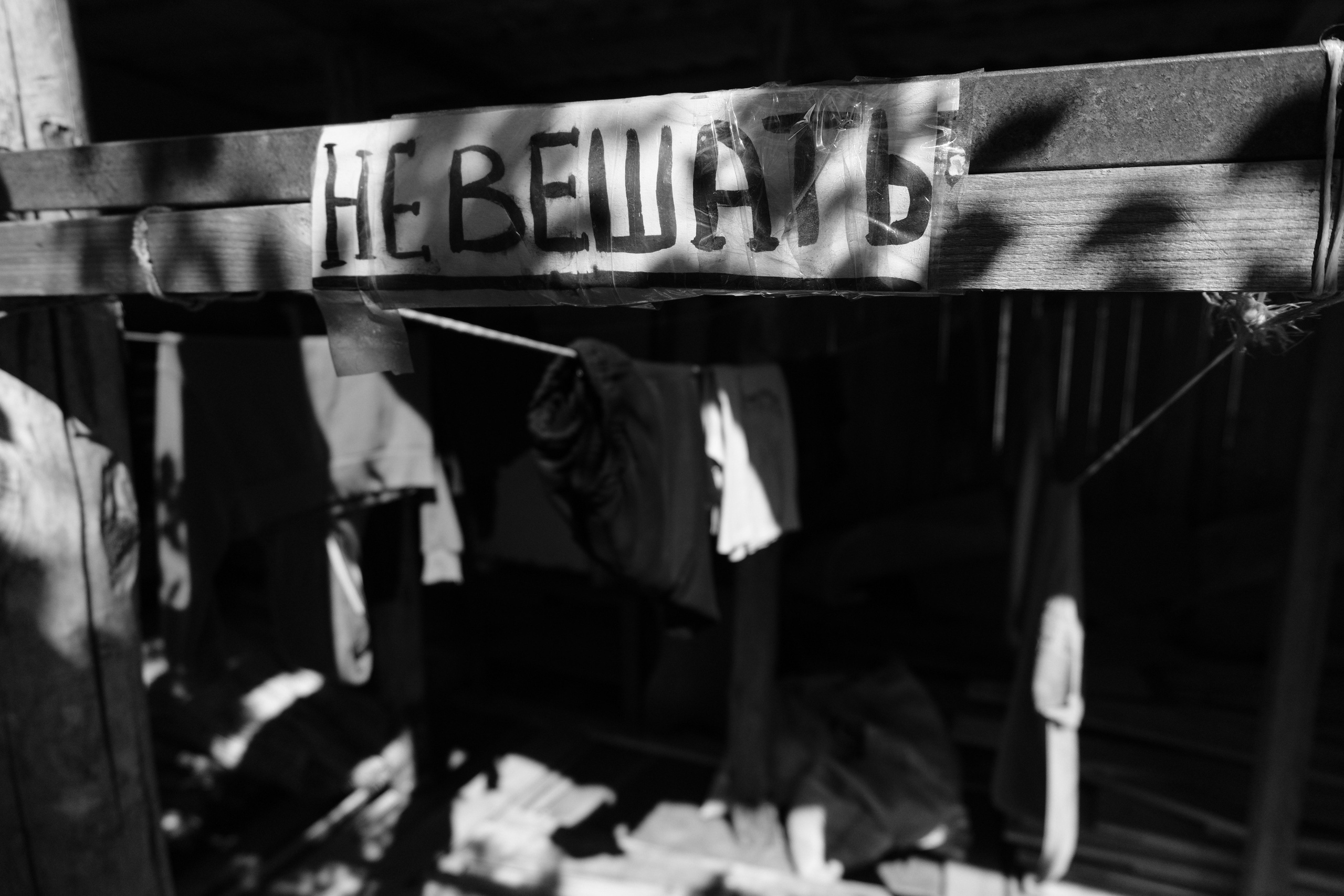 Сухобузимский 25.05-22.06.2025. Фотострелка