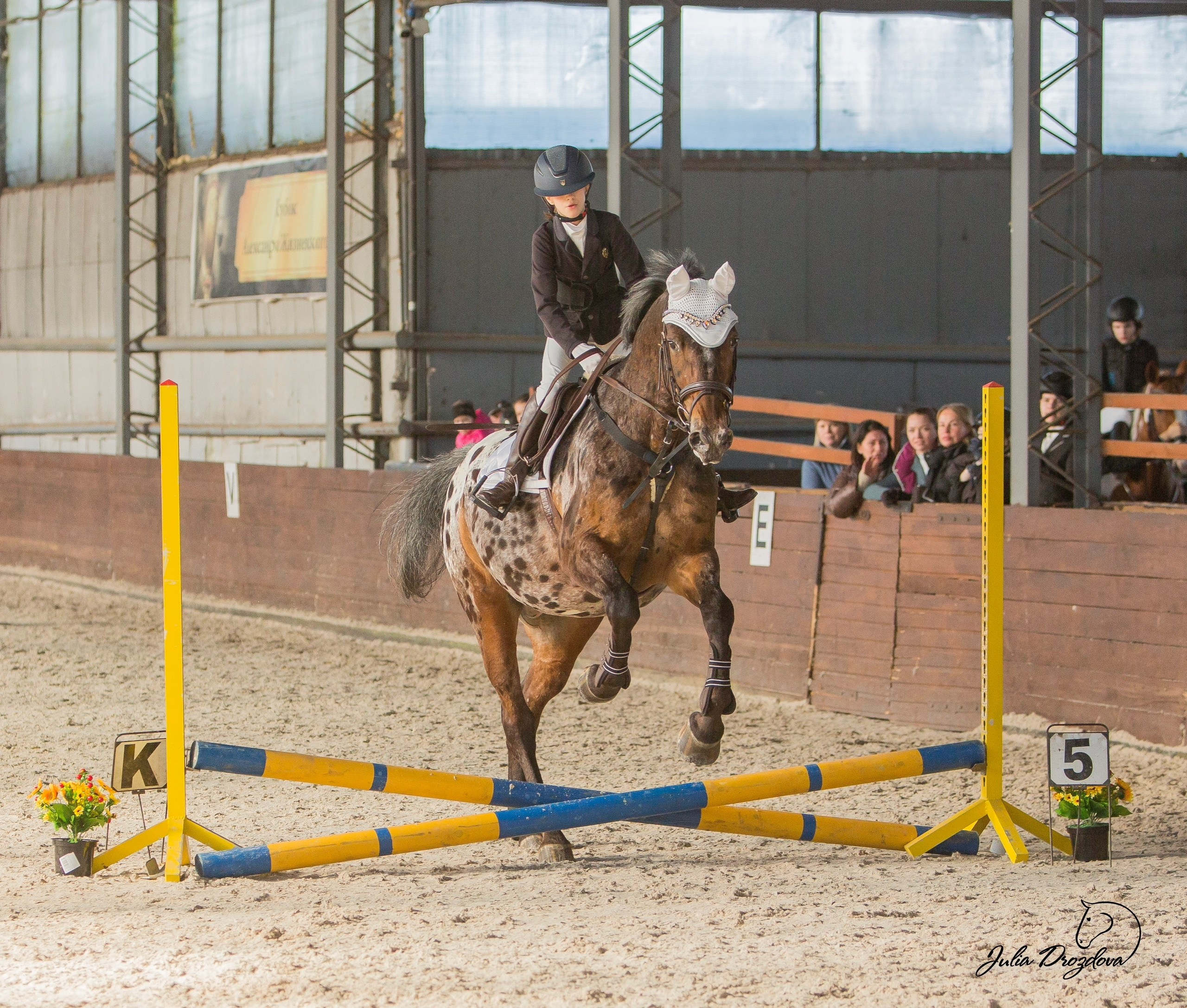 Соревнования. Конный фотограф Юлия Дроздова