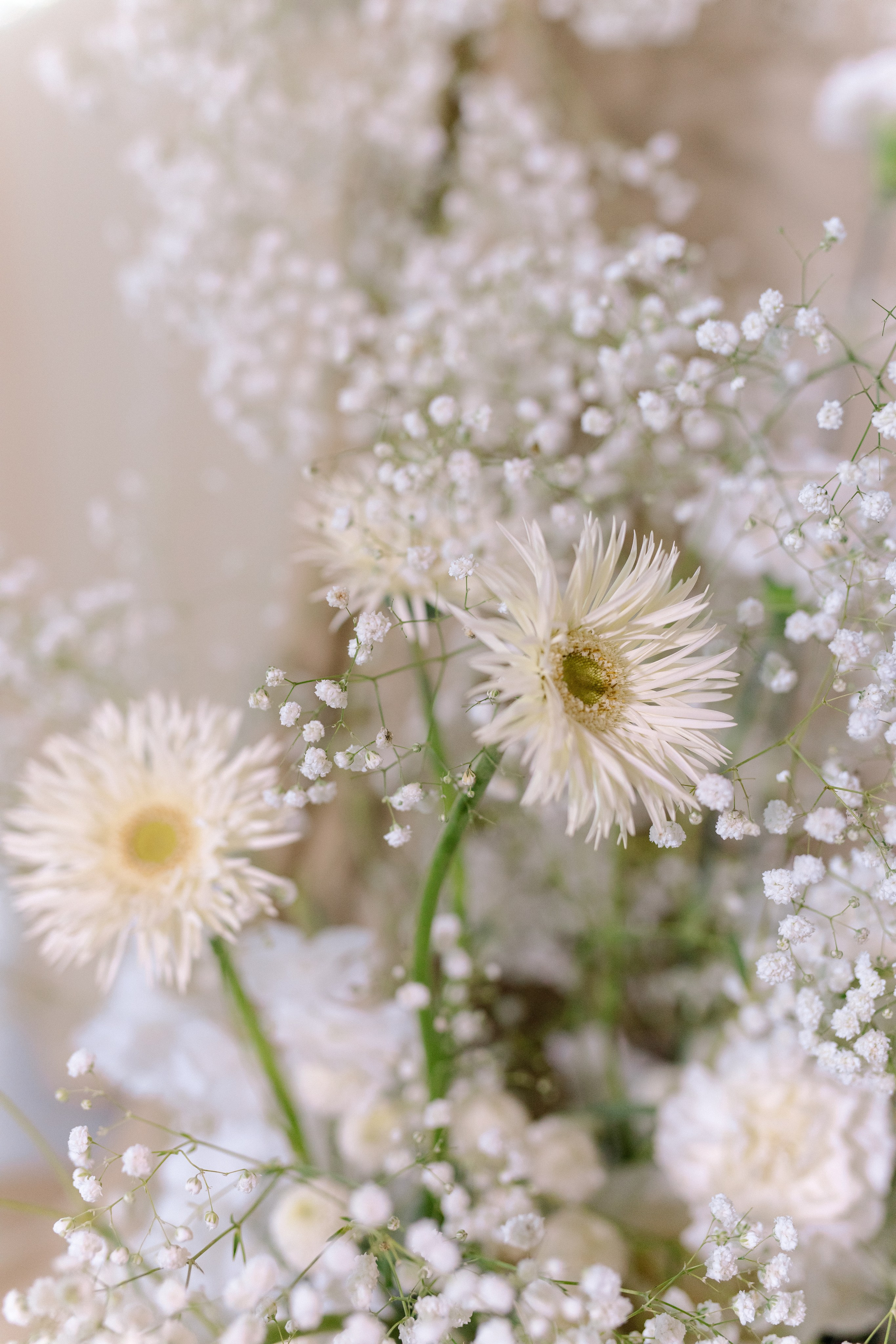 Anastasya/Anton. Свадебный фотограф Павел Князев