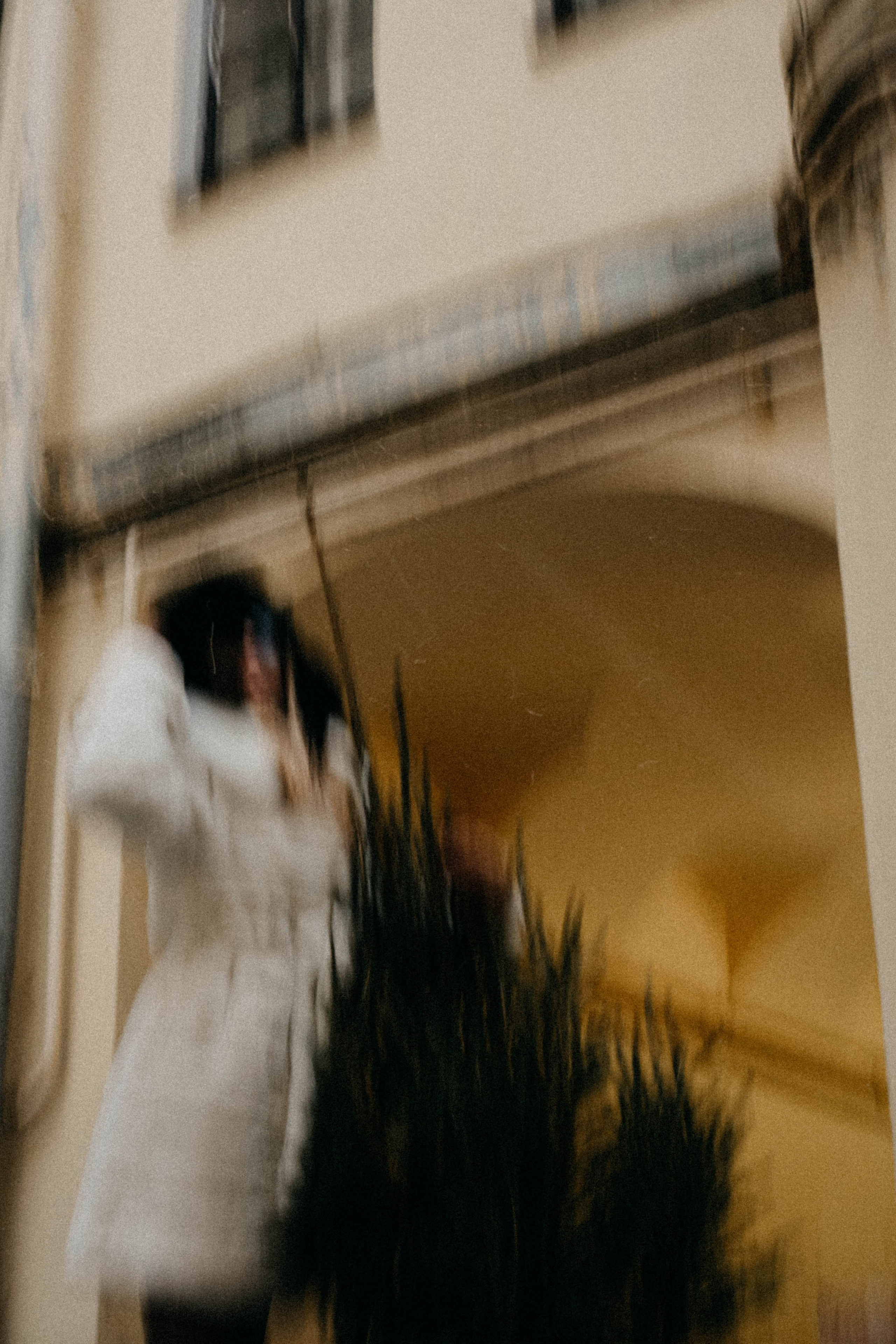 Новогодняя. Профессиональный фотограф, Санкт-Петербург — Виктория Богомолова