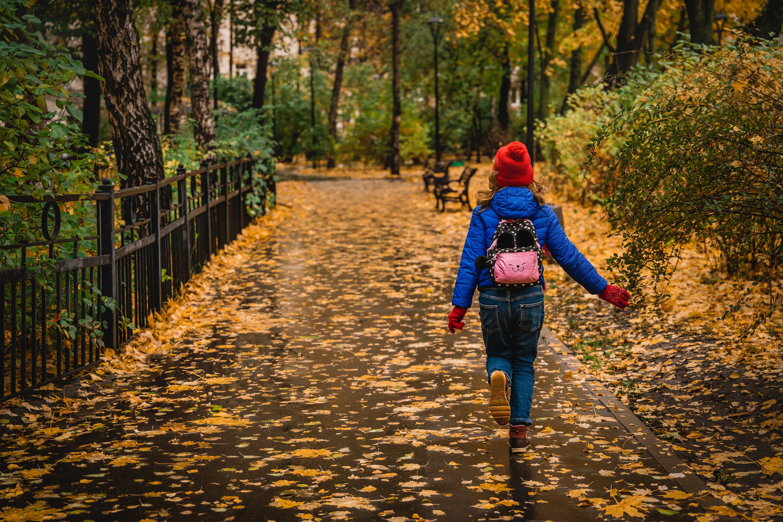 Осень. Фотограф Валентина Полунина