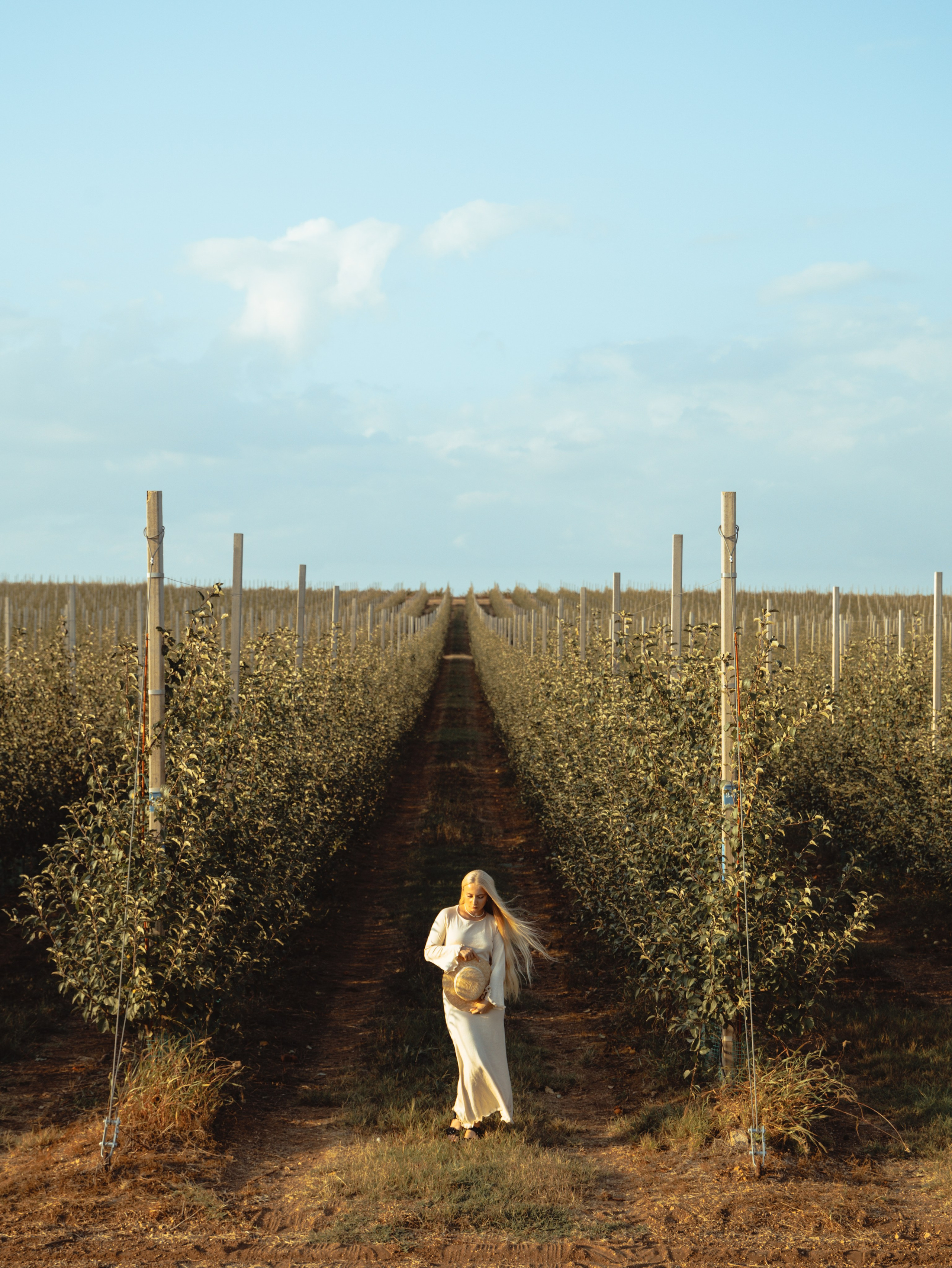 Domik в саду. Артем Корнев Фотограф