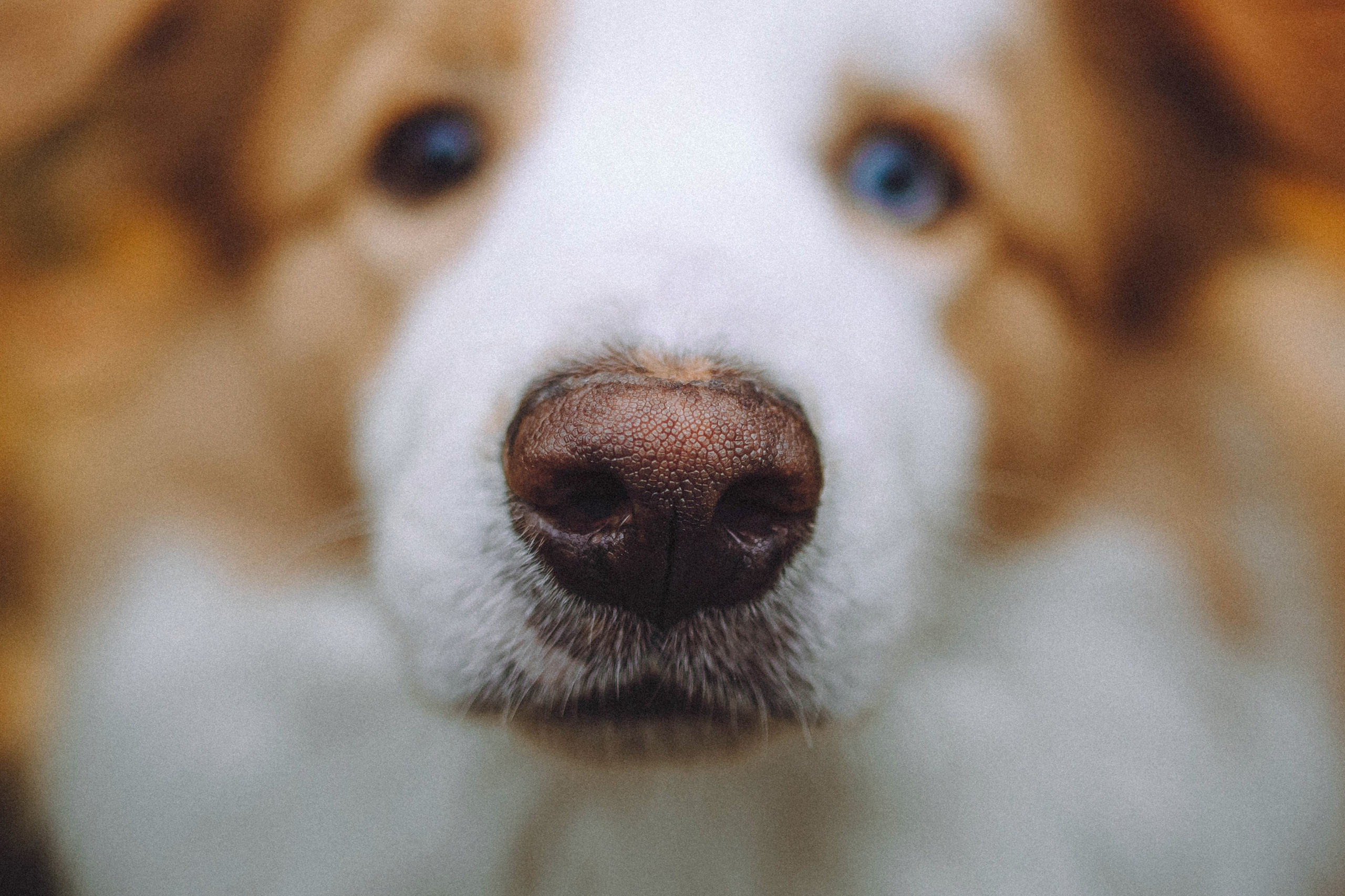 Алина, Витя и Асти