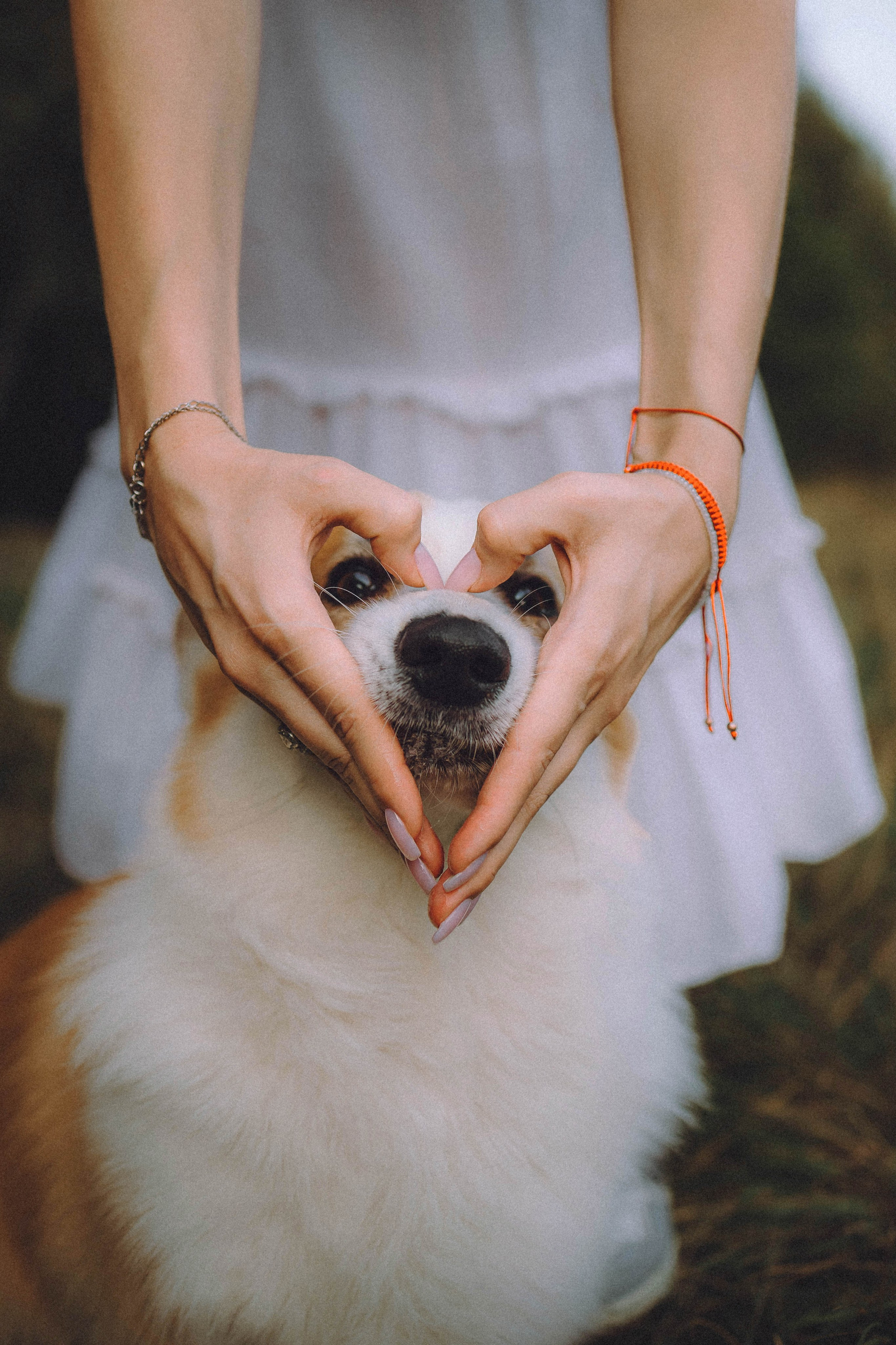 Арчи и его семья