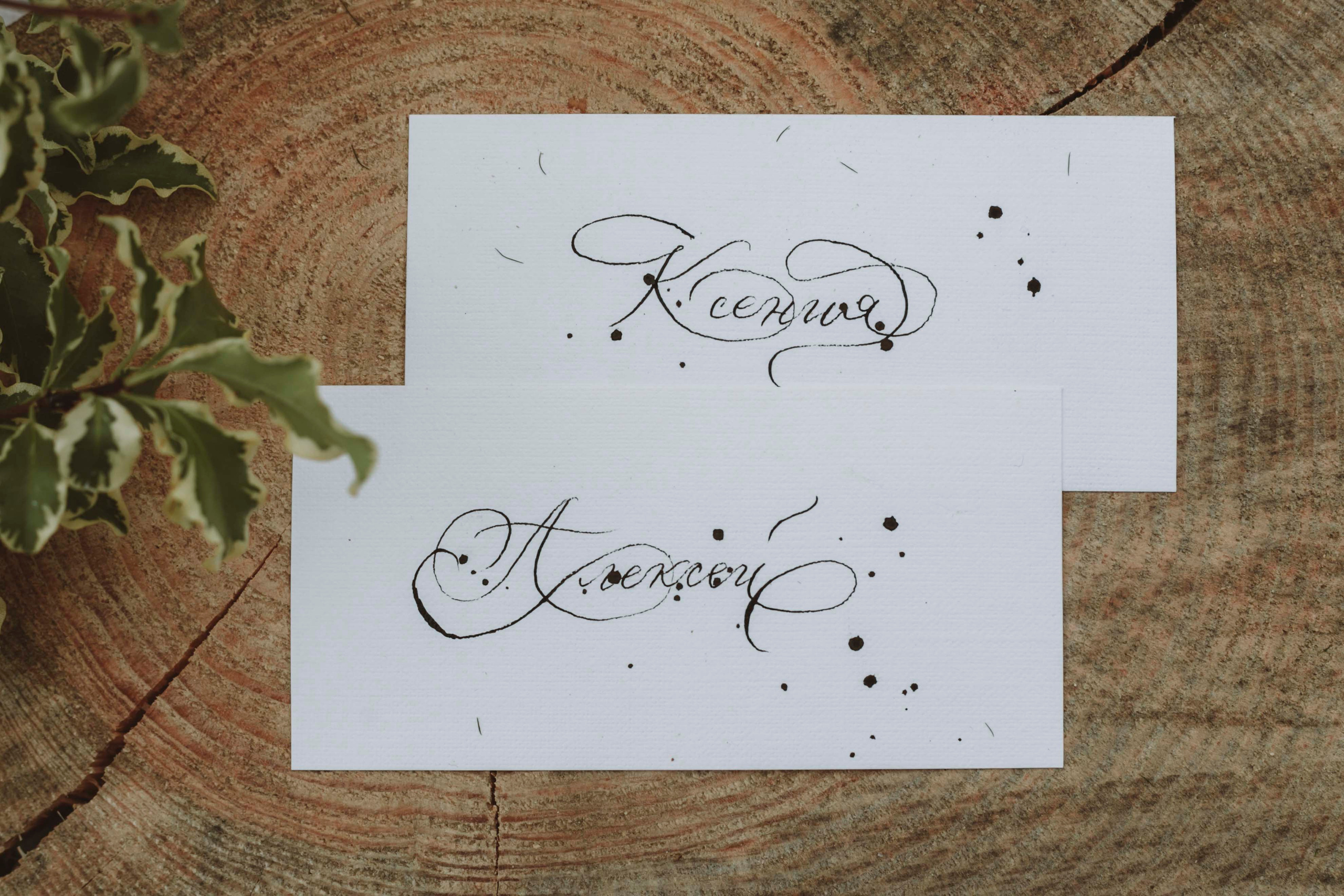 Алексей и Ксения. Свадебный и семейный фотограф Анастасия Романова в Москве и Московской области