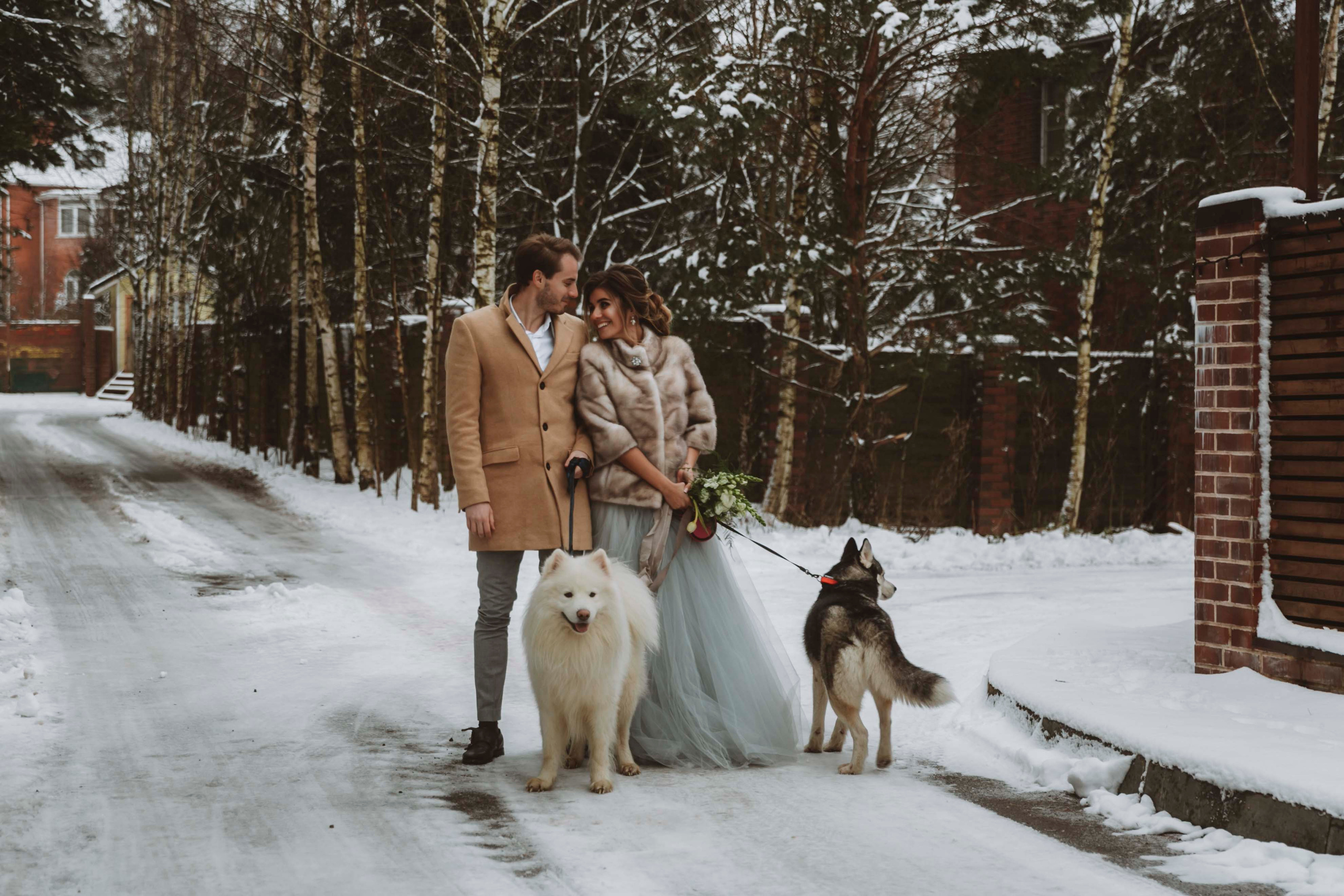 Алексей и Ксения. Свадебный и семейный фотограф Анастасия Романова в Москве и Московской области
