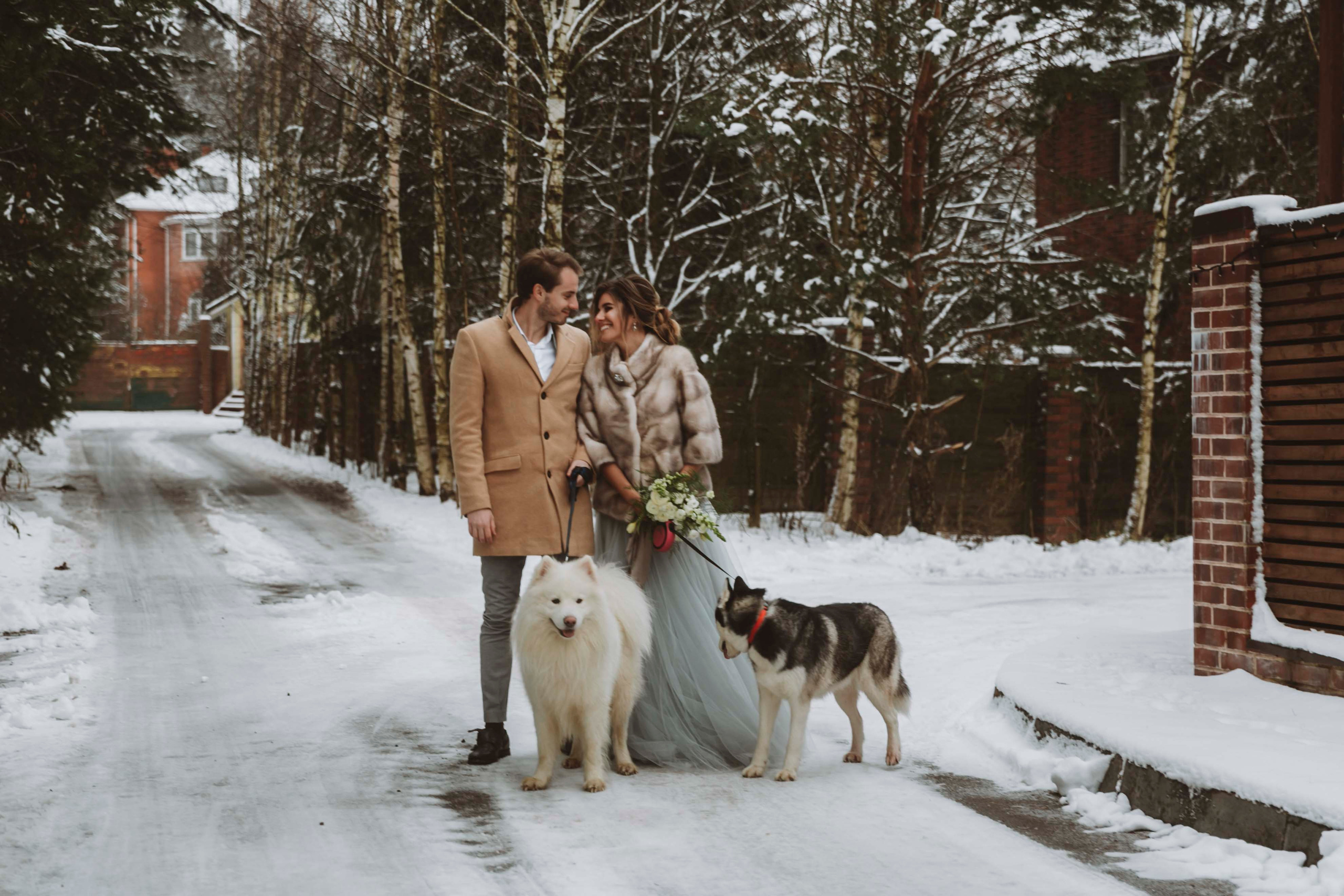 Алексей и Ксения. Свадебный и семейный фотограф Анастасия Романова в Москве и Московской области
