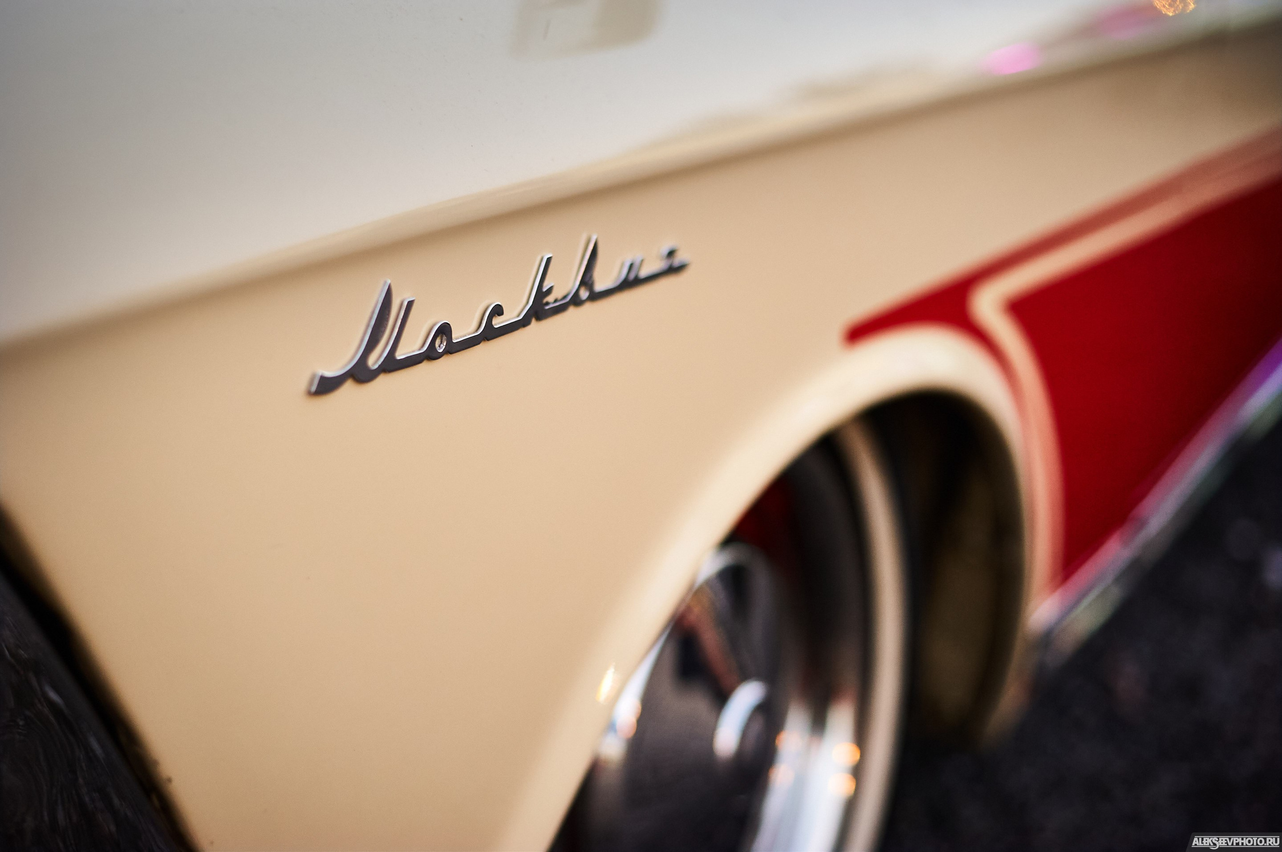 Tsunami Picnic 2020 — expo. Фотограф Алексей Алексеев