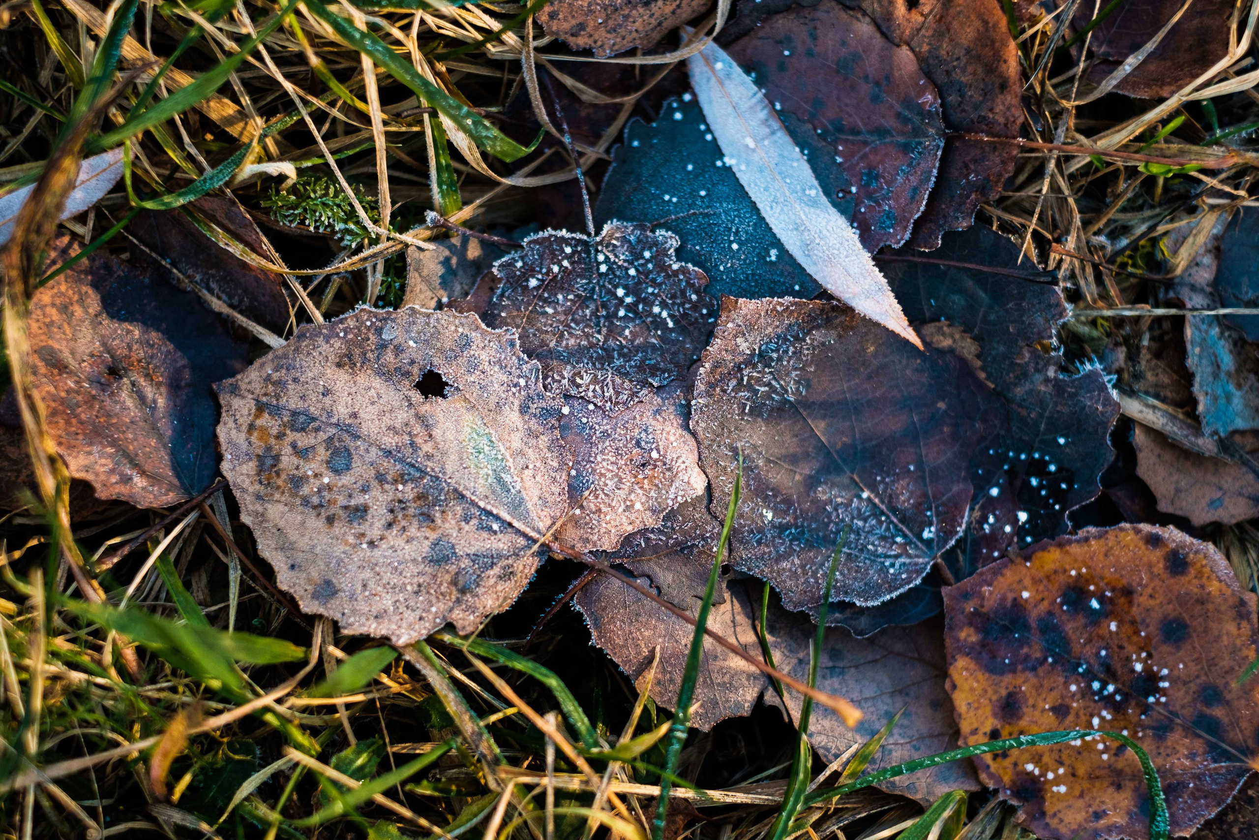 2021.11. Фотограф Алексей Алексеев