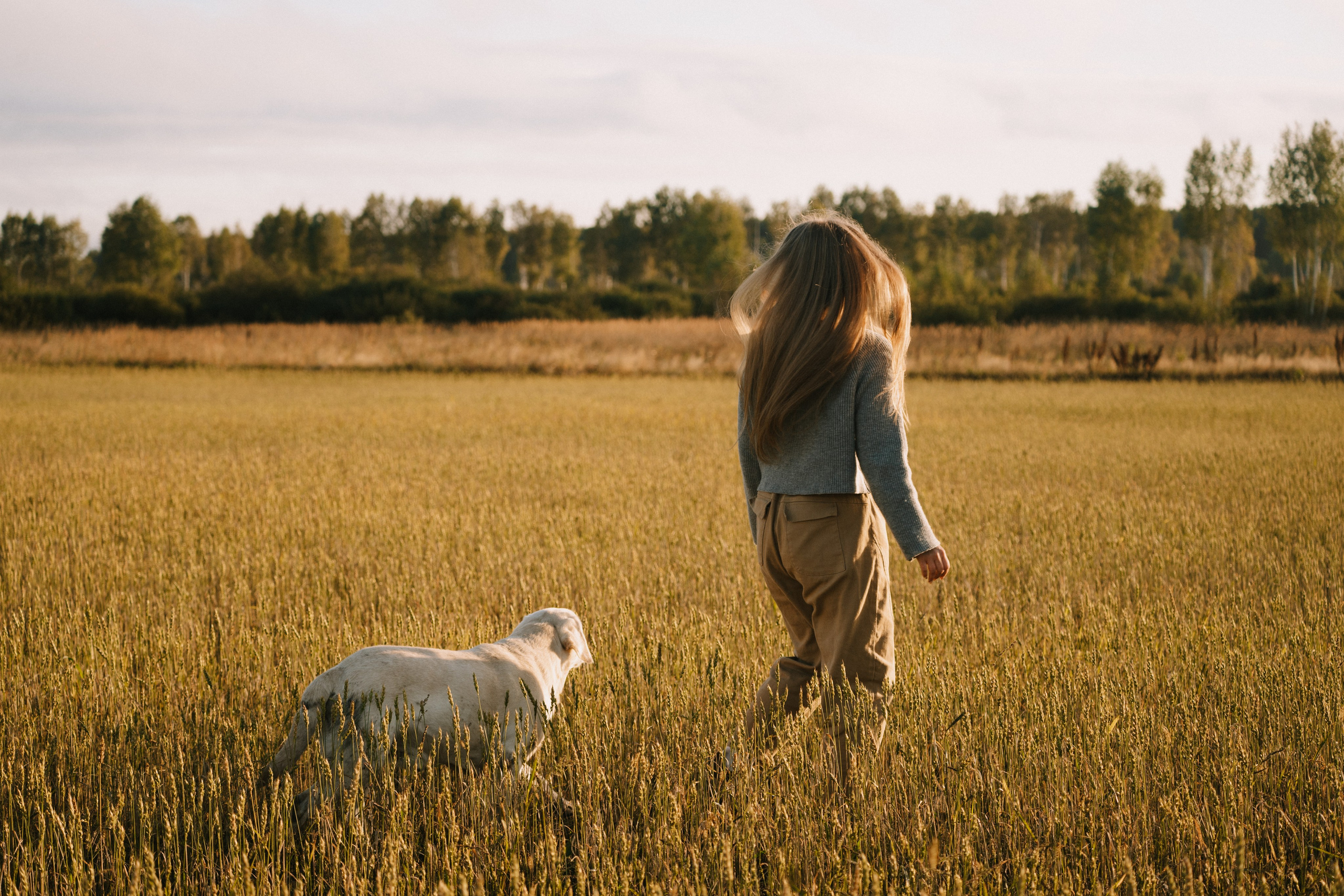 Дана и Арчи. Фотограф-анималист Анастасия Большакова