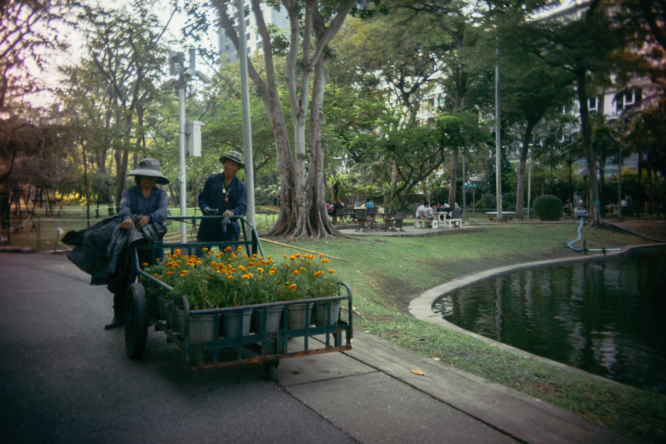 Шри + Бангкок. Фотограф Тбилиси Саша Мороз