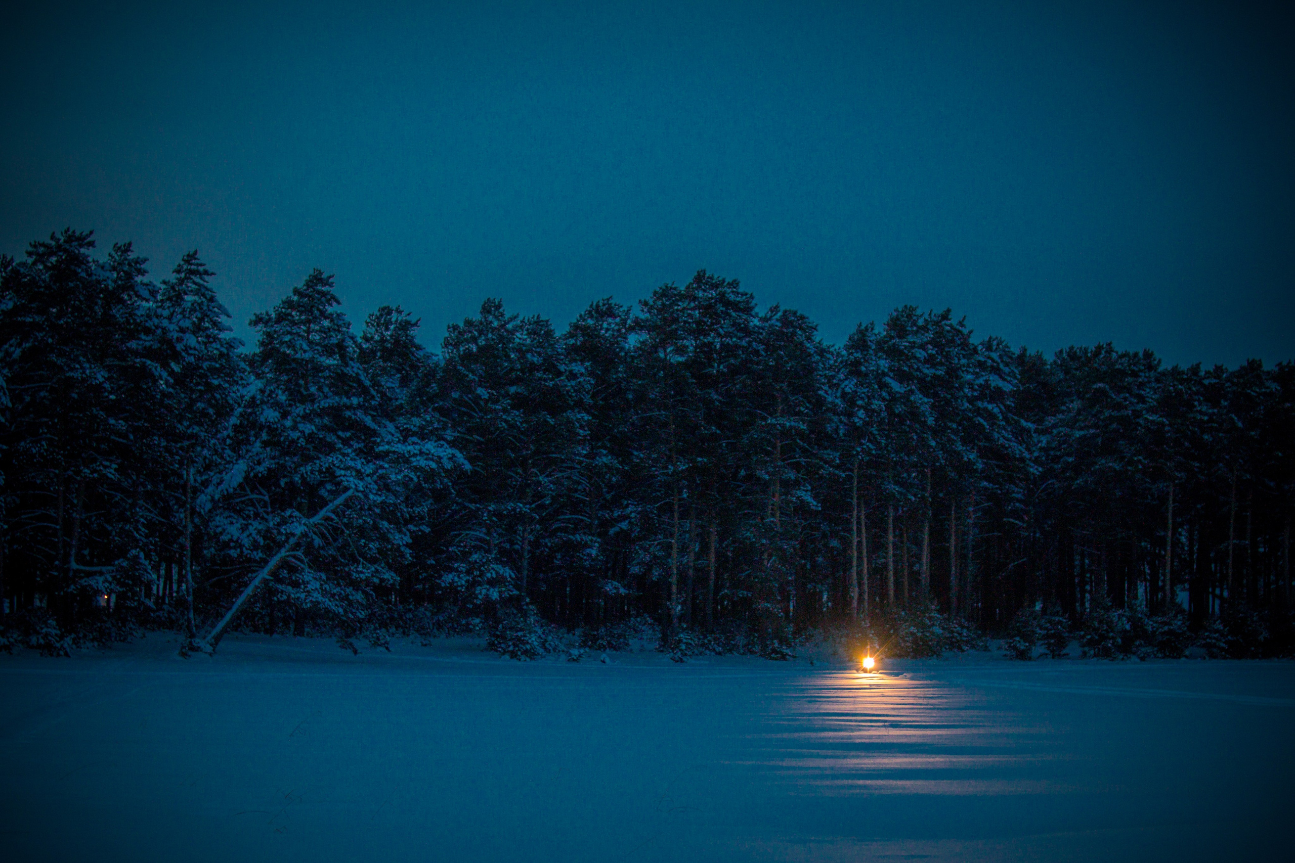 Зима. Ваш фотограф Северск | Томск