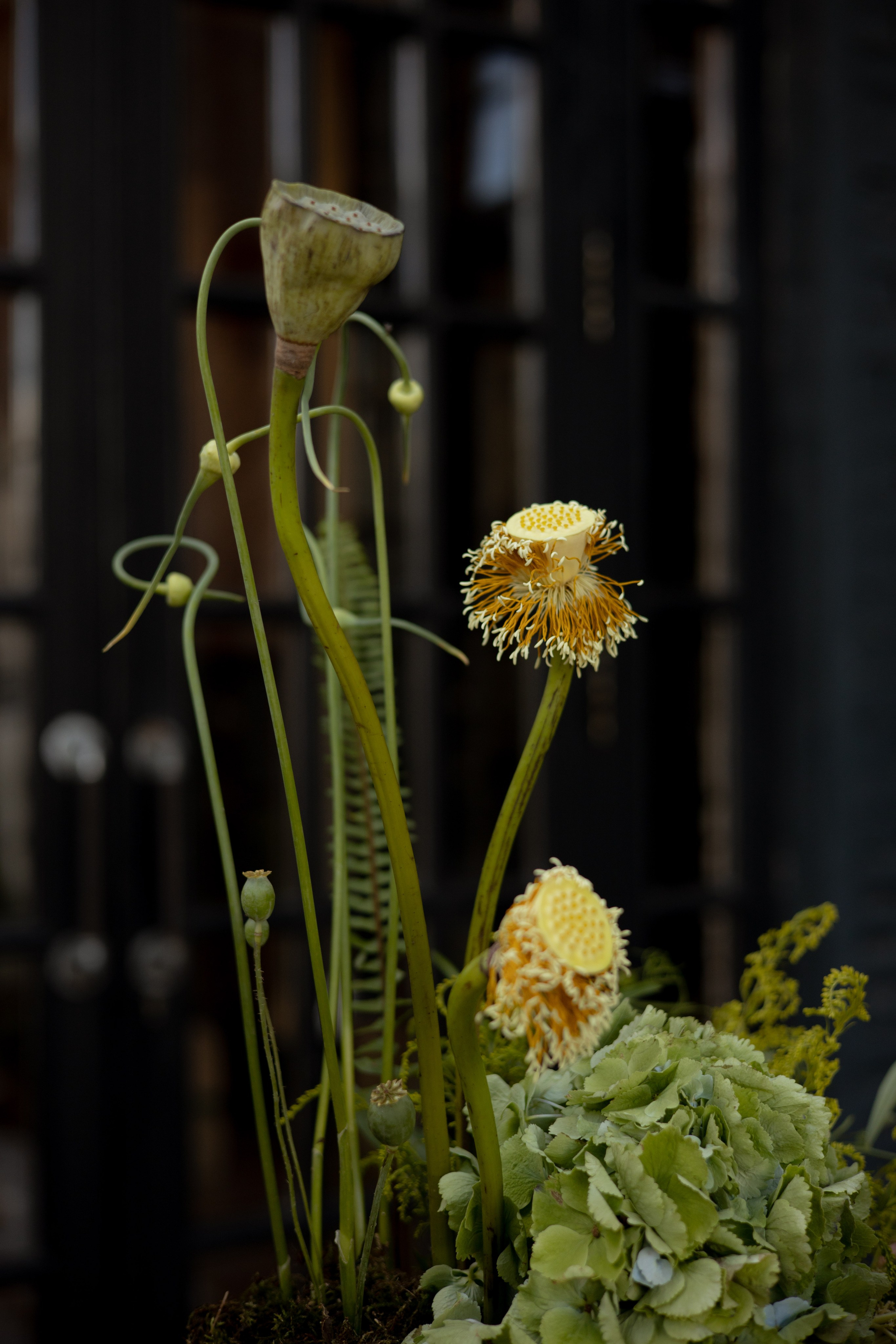 Никита & Катя. Оформление свадеб, декор свадеб Вера Маркова, Москва