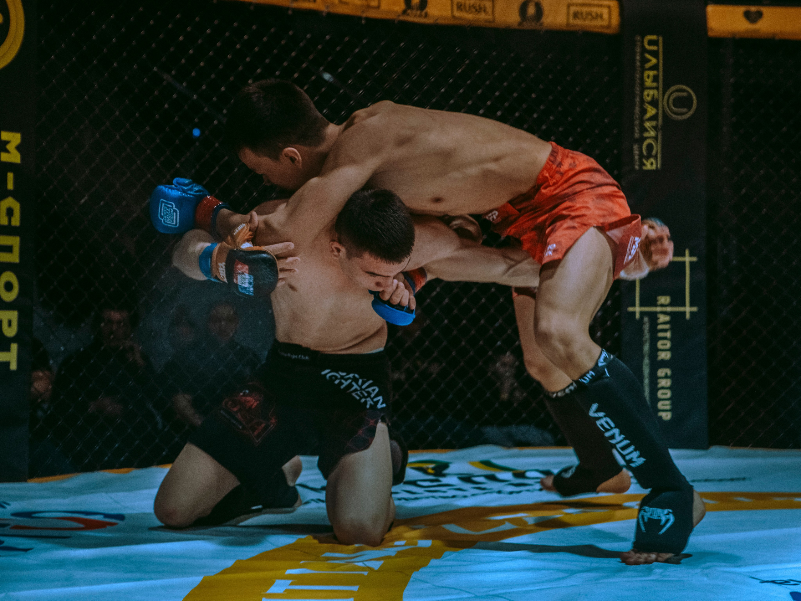 SFL 17 | Siberian Fighting League. Портретный фотограф в Москве Дарья Цезария