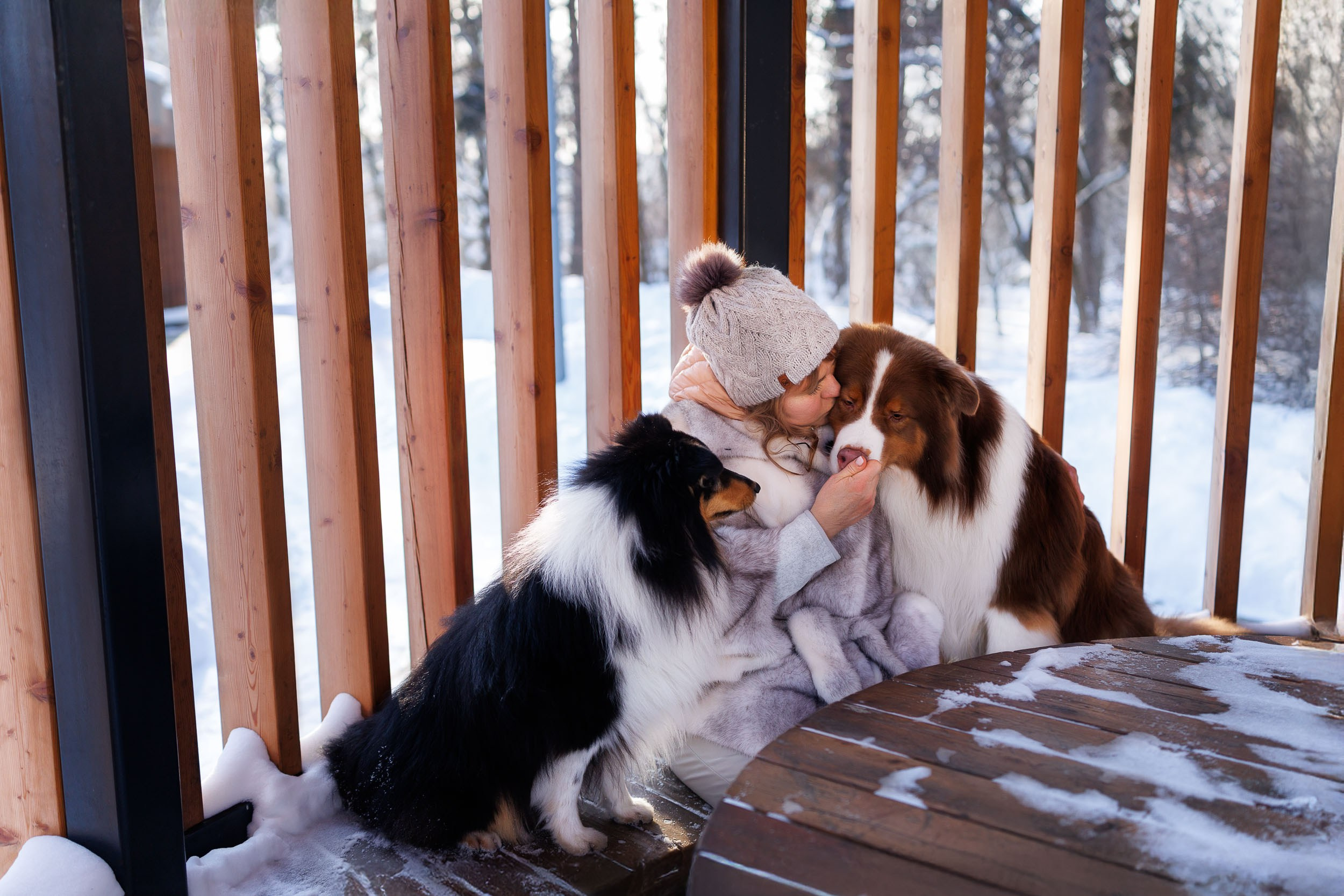 Марик и Дэн. Фотограф-анималист в Москве и Московской области Татьяна Фролова