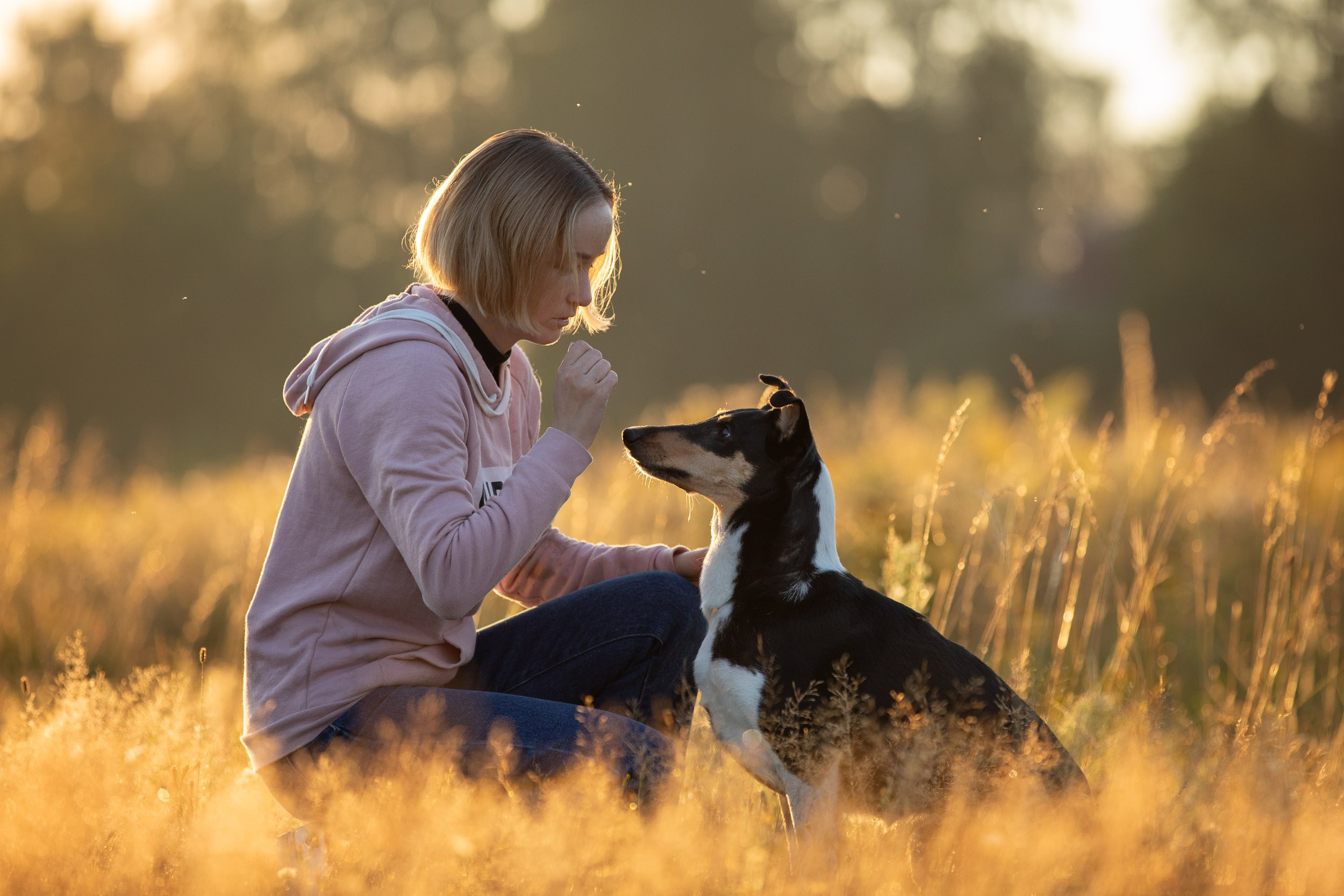 Наташа и короткошерстные колли. Фотограф-анималист в Москве и Московской области Татьяна Фролова